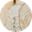 Luxurious Fragrance Sticks Holder - White Tiger