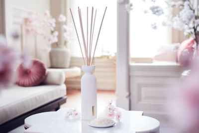 The Ritual of Sakura - Fragrance Sticks | Rituals Thailand