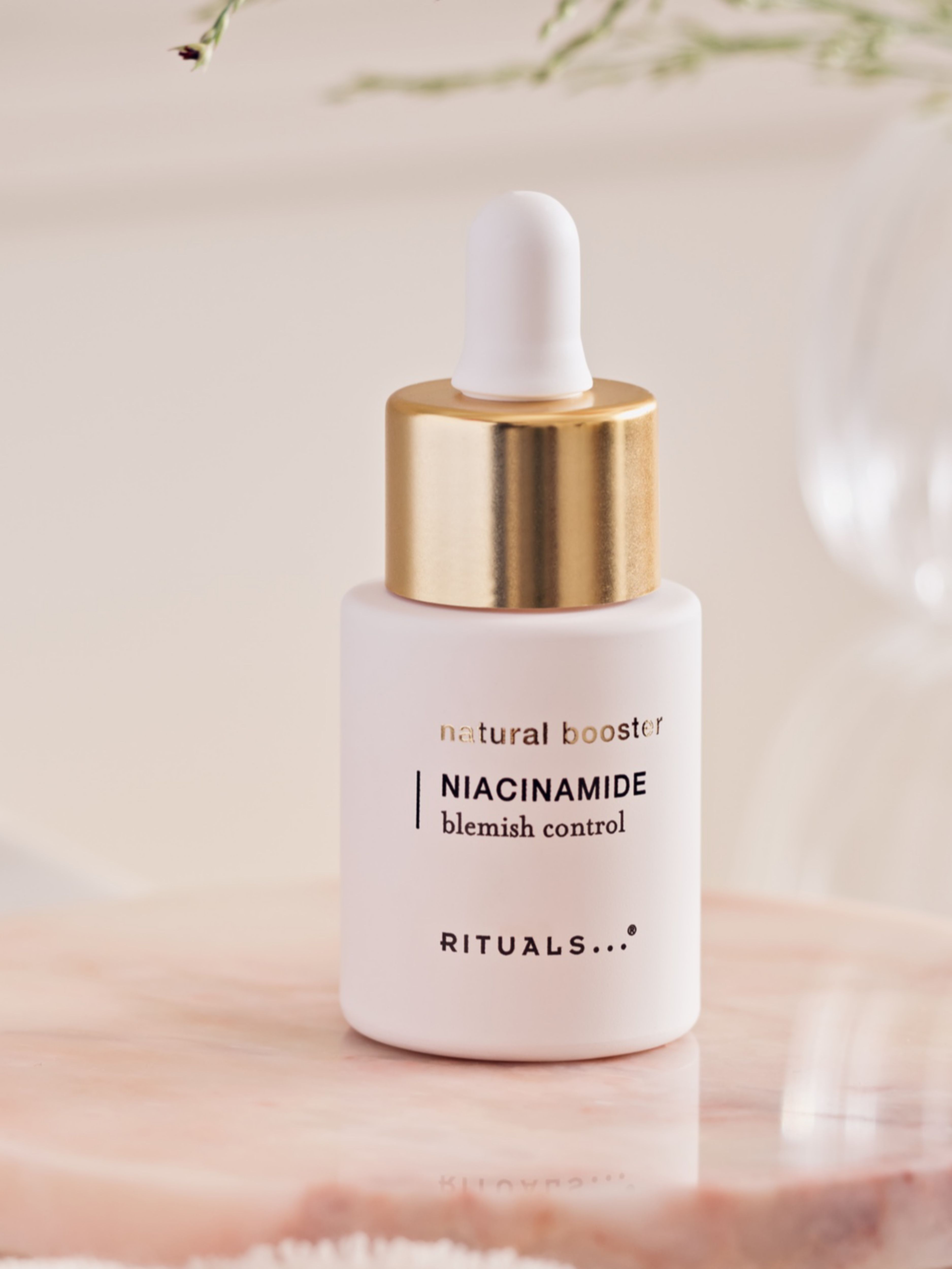 The Ritual of Namaste | natural booster | Niacinamide Lifestyle with Product
