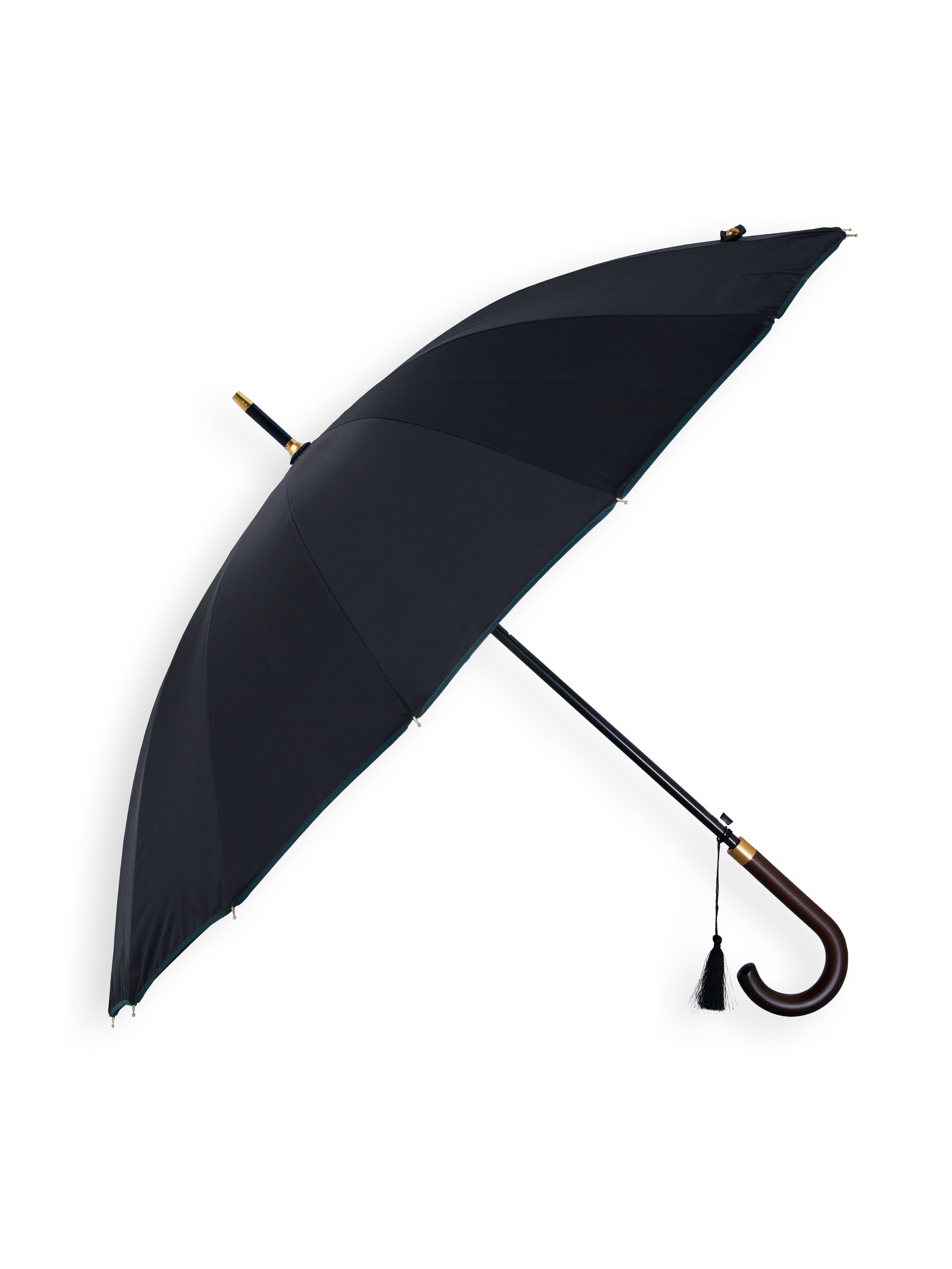 Umbrella 18 Spoke Dragon