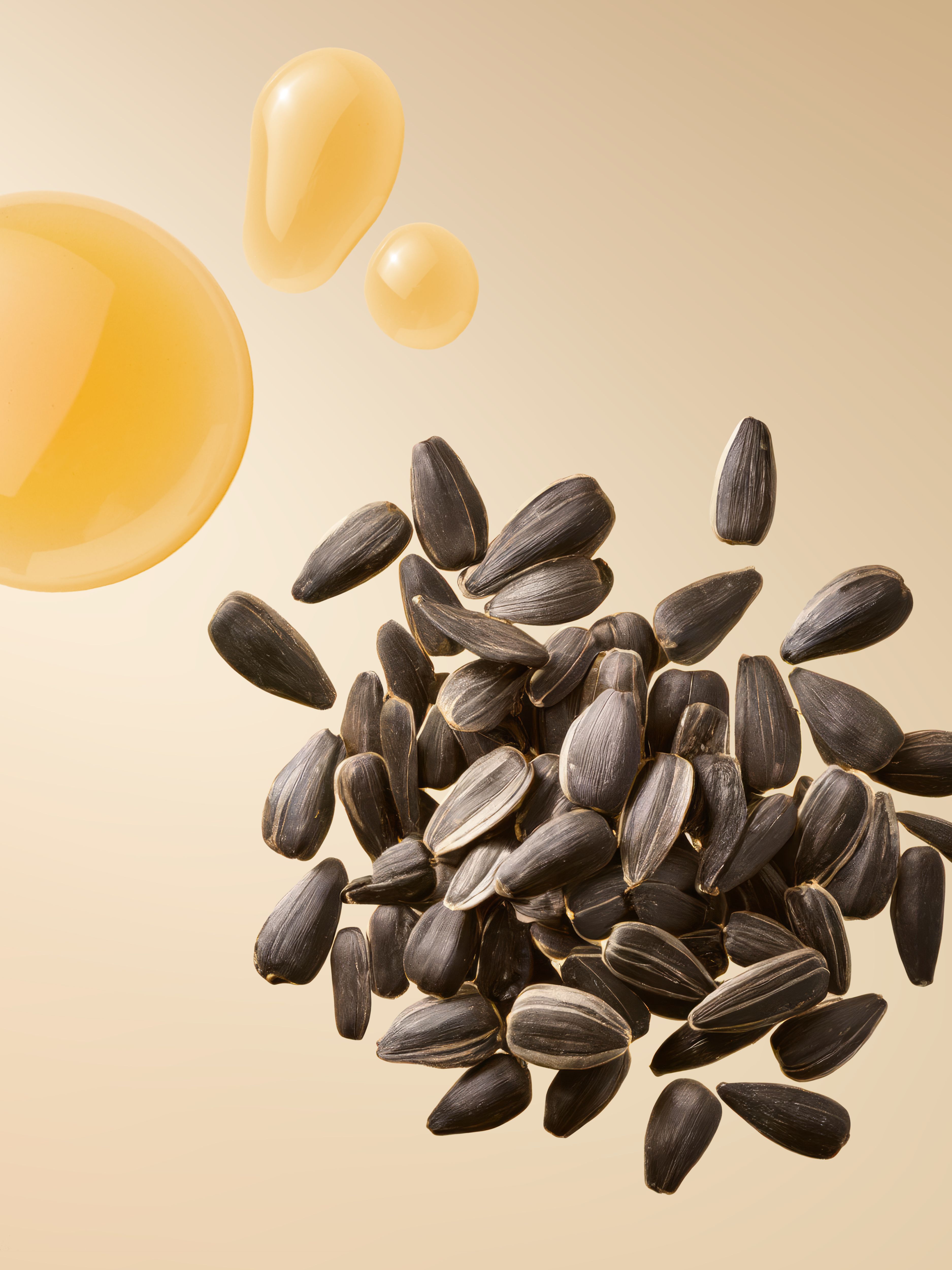 The Ritual of Karma Shampoo