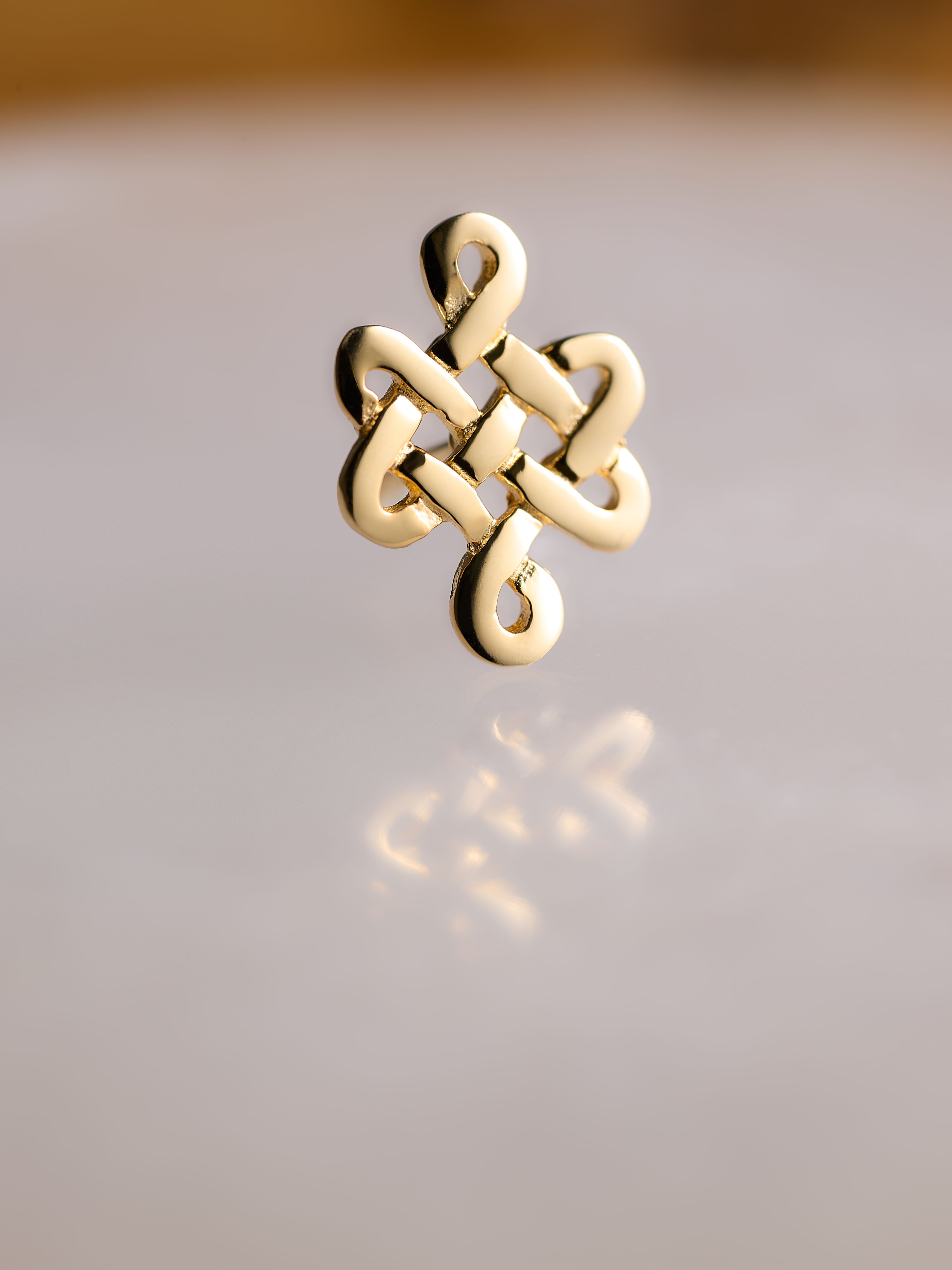 Infinity Stud Earrings Gold Plated Lifestyle with Product Elements