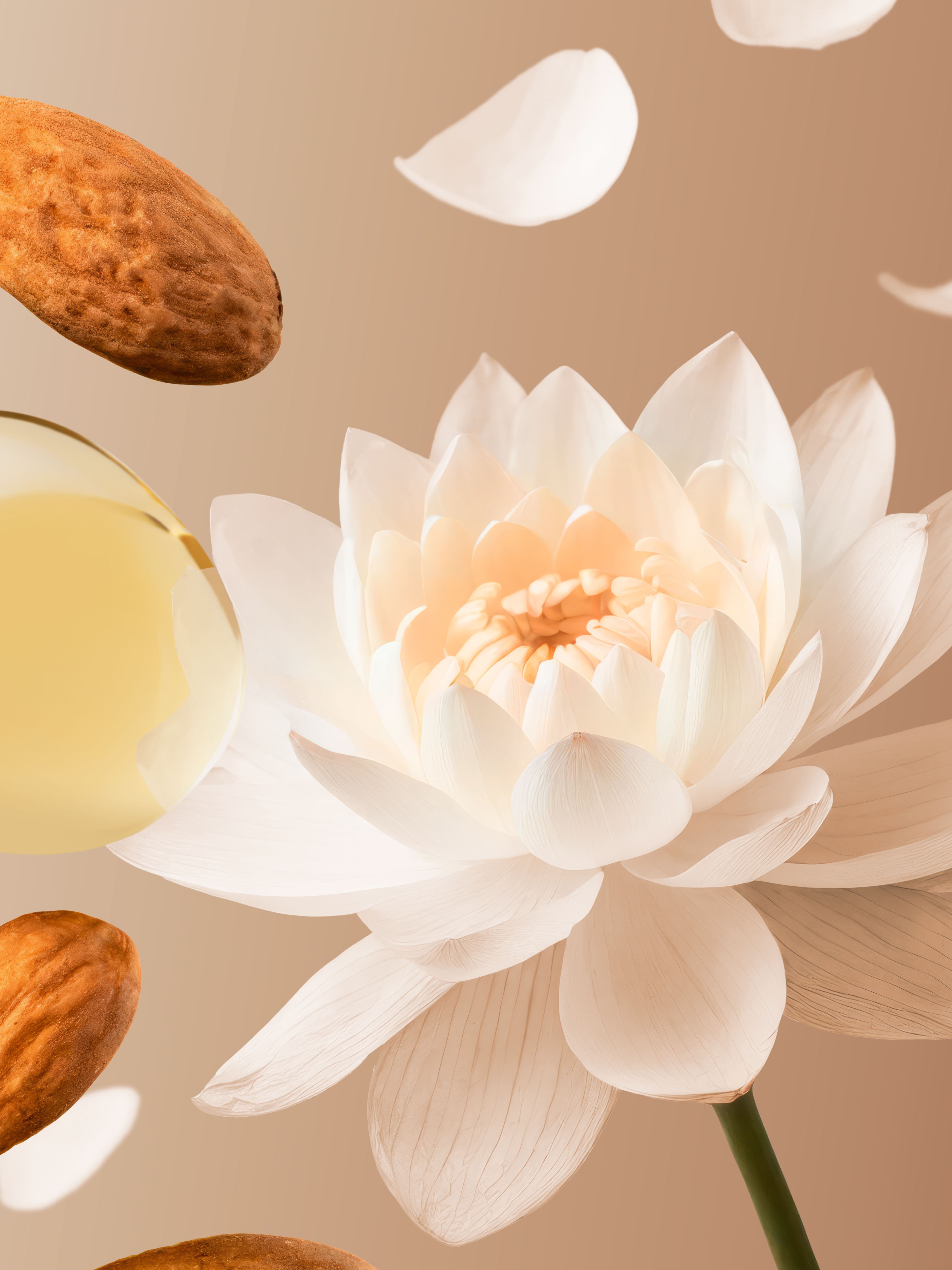 The Ritual of Karma Shower Oil