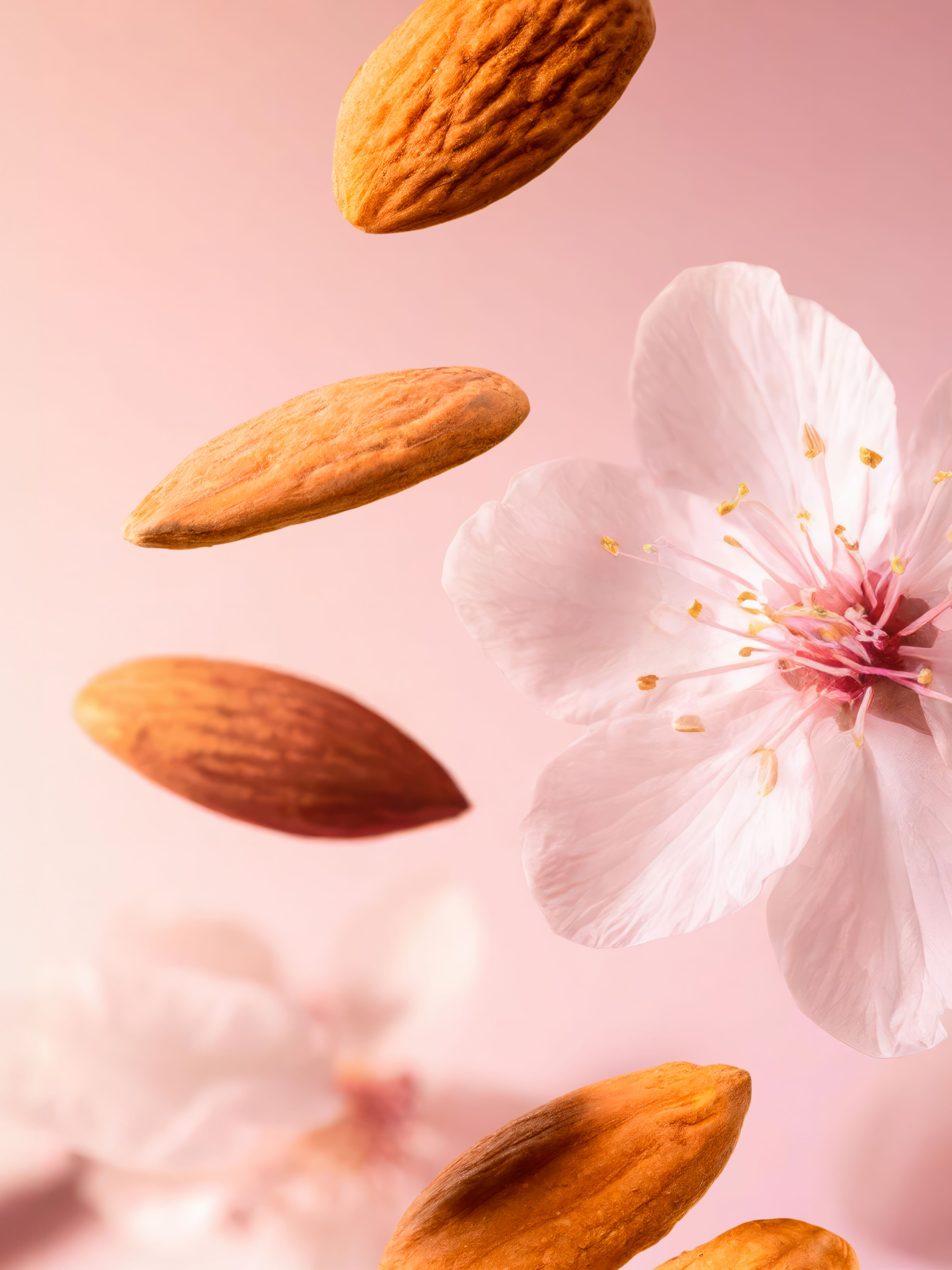 The Ritual of Sakura Shower Oil