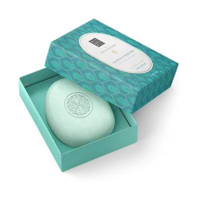 șampon și baton pentru corp