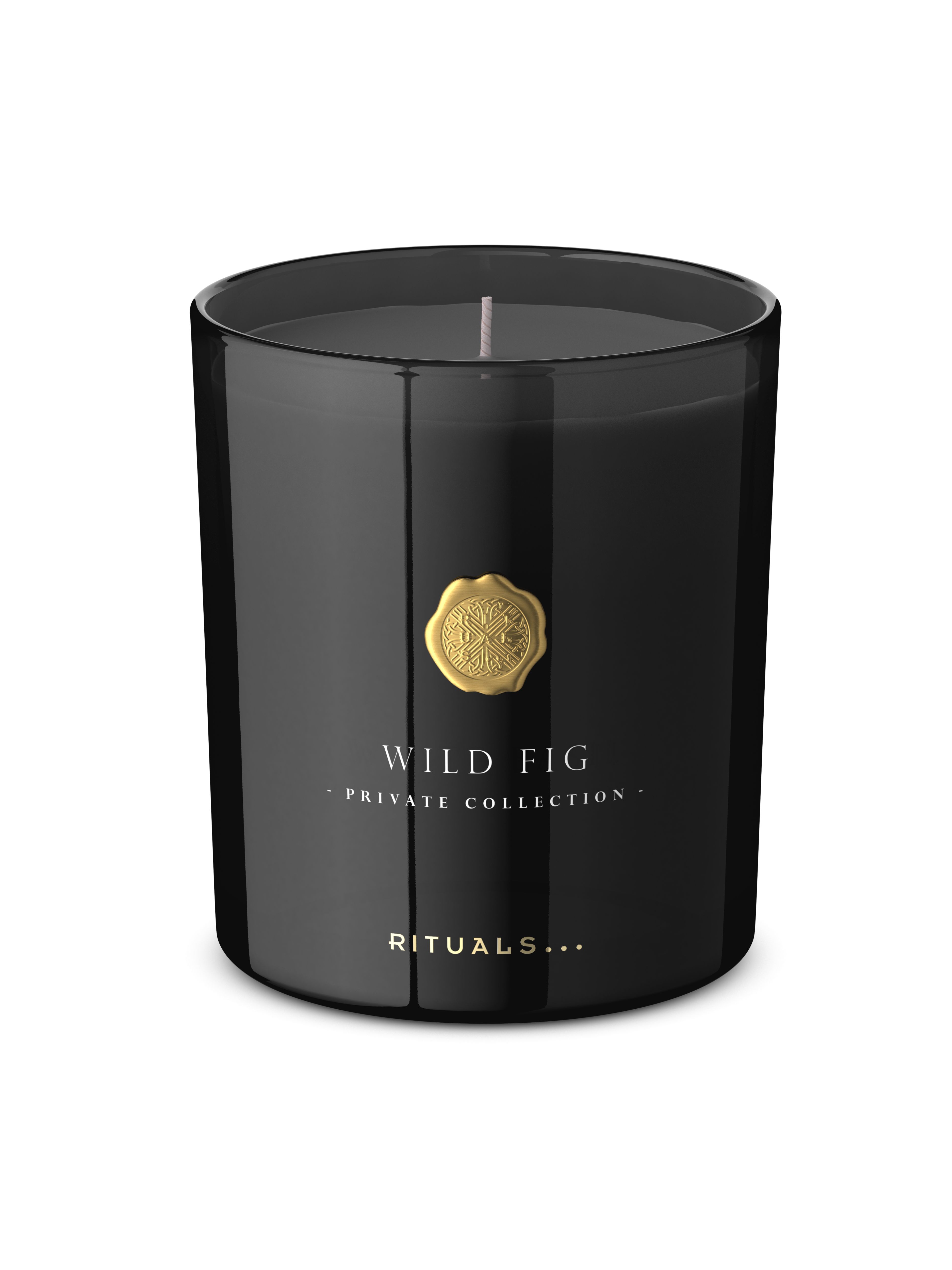 Wild Fig Scented Candle 360g