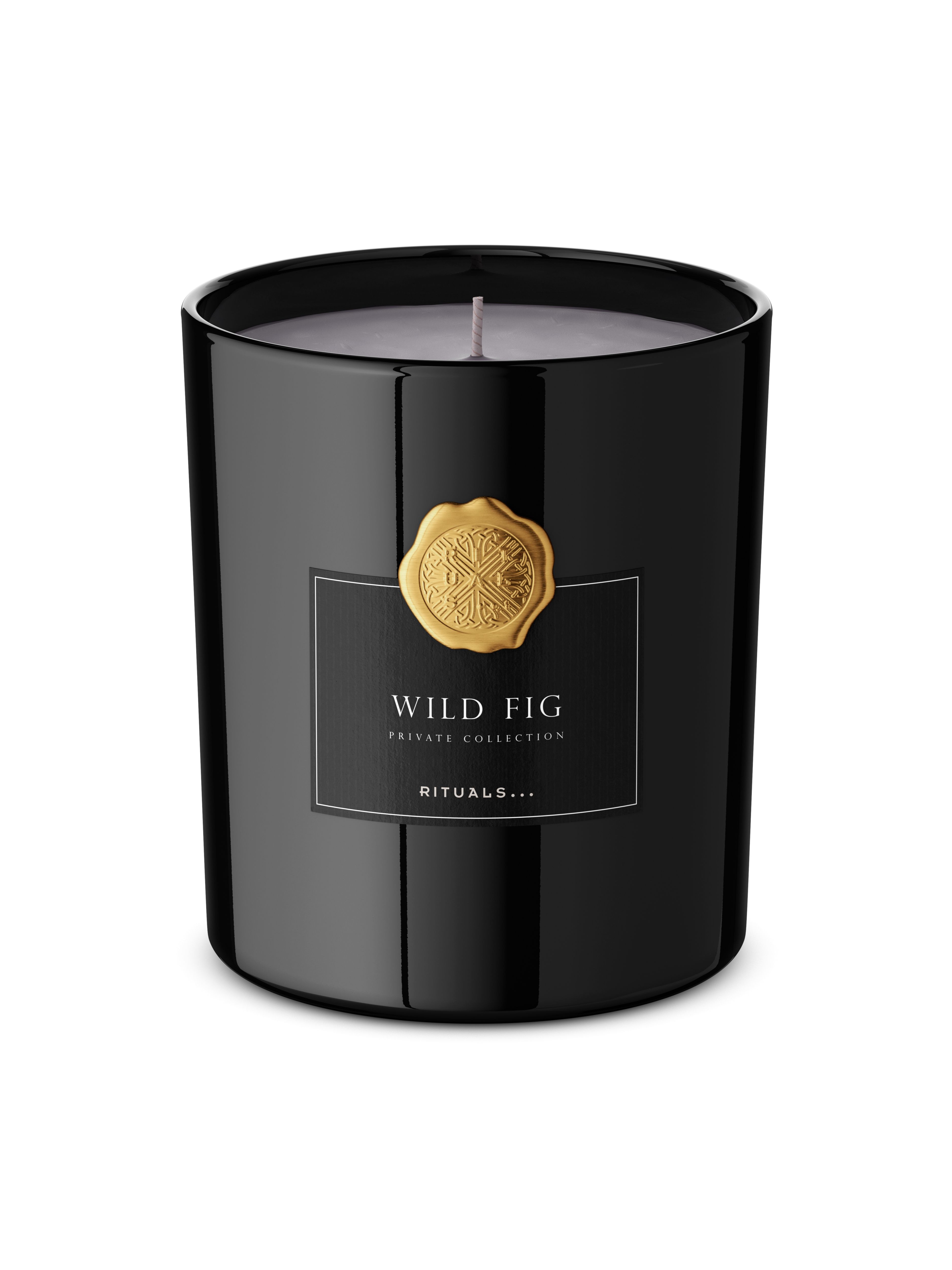 Wild Fig Scented Candle 360g