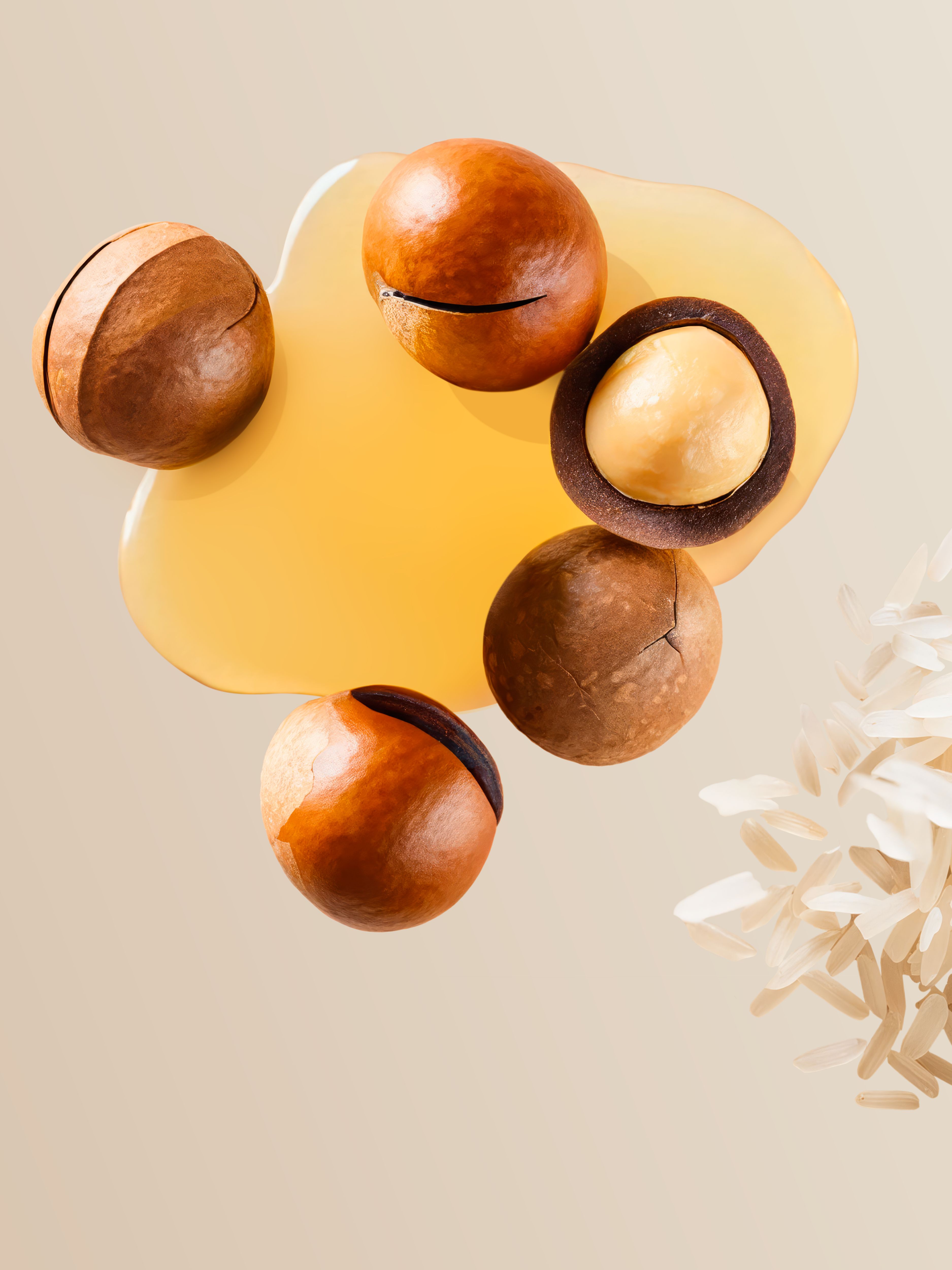 Elixir Collection Intense Nutrition Hair Mask Studio Ingredient