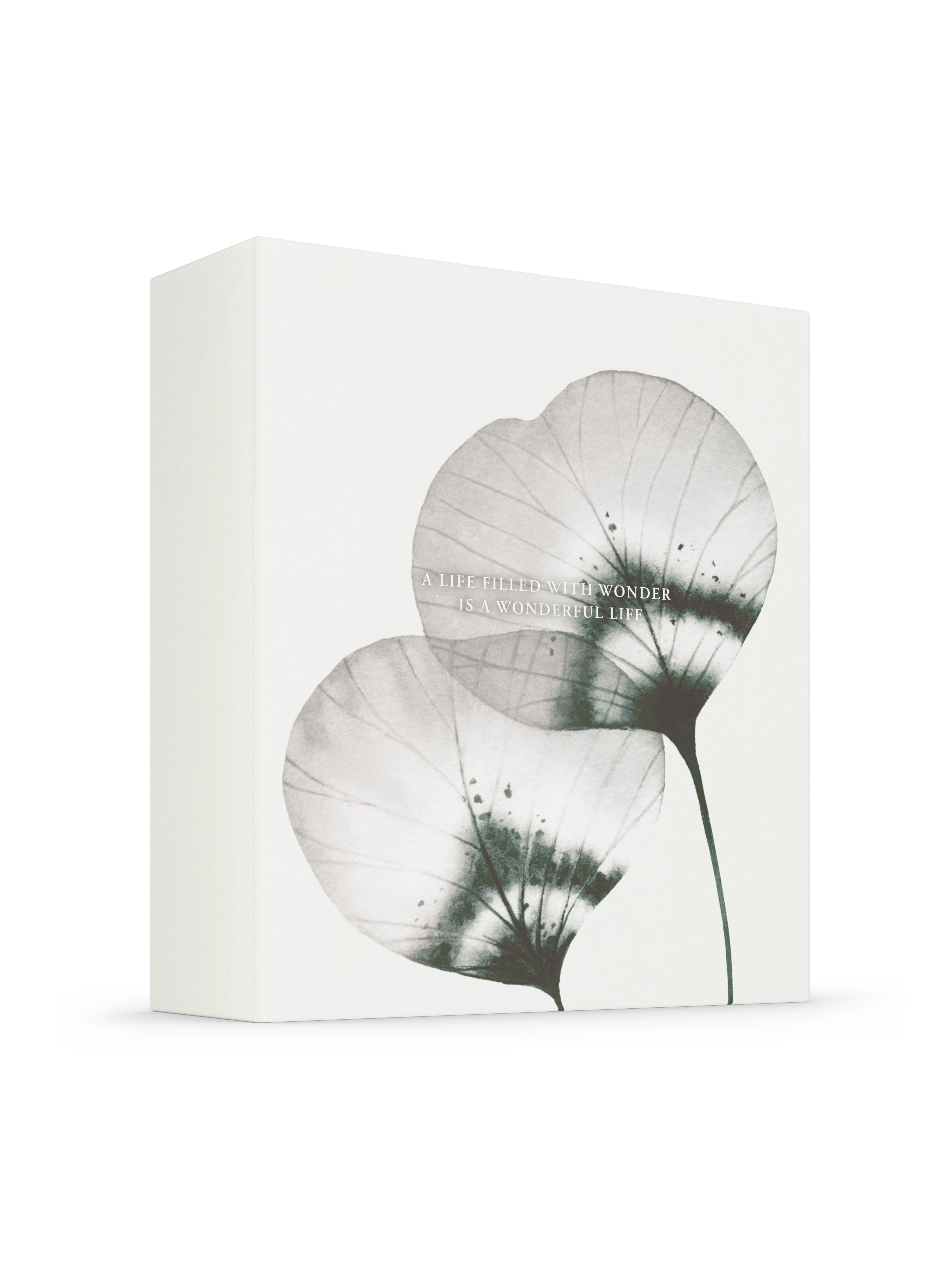 Rituals Homme - Medium Gift Set 2023 Product Elements