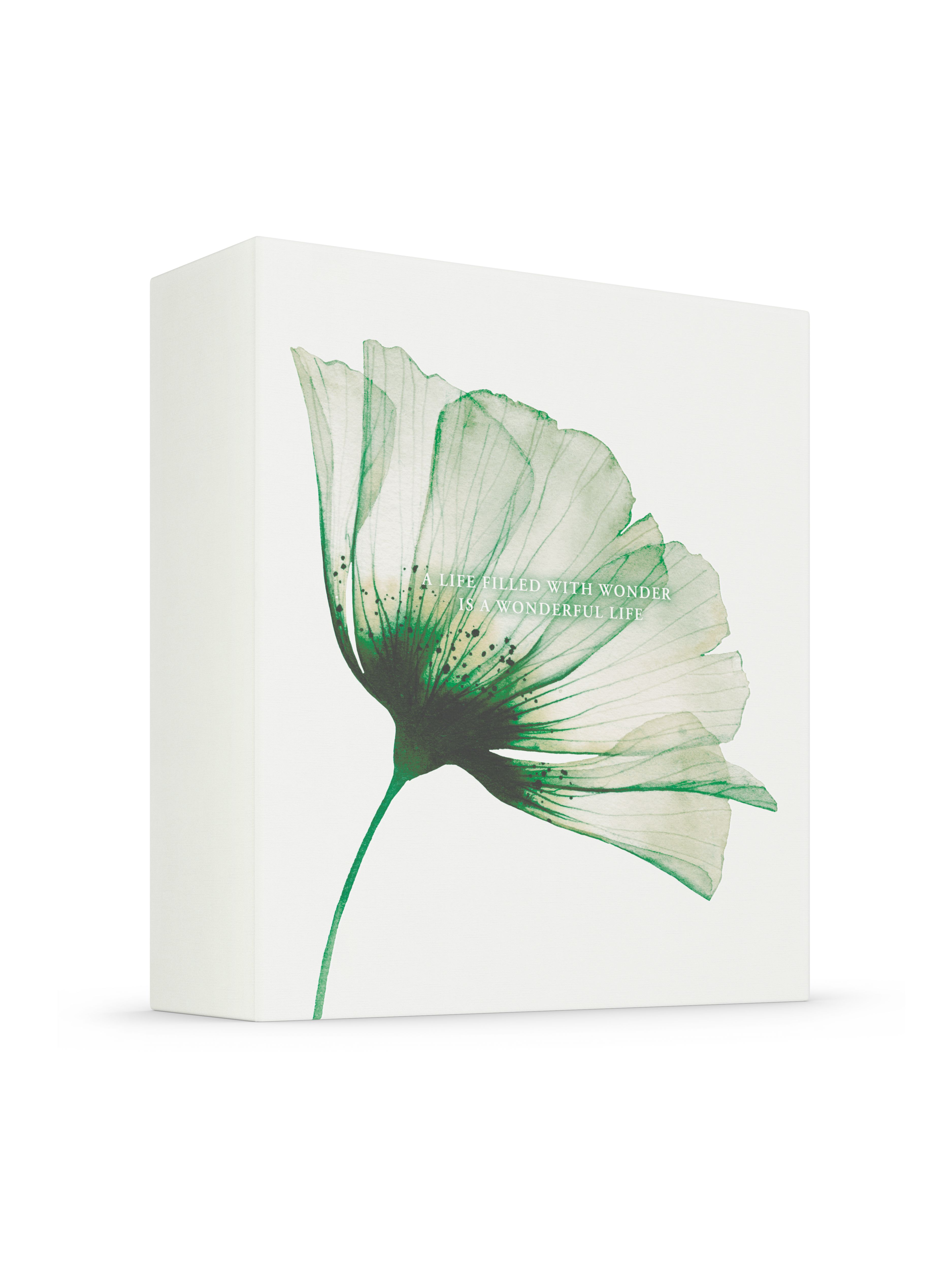 The Ritual of Jing - Medium Gift Set 2023