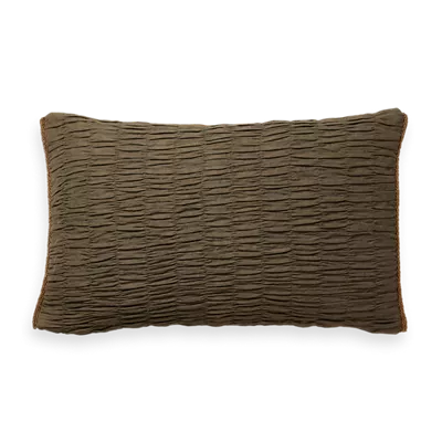 Kissenbezug aus Baumwollsamt 50x30 cm