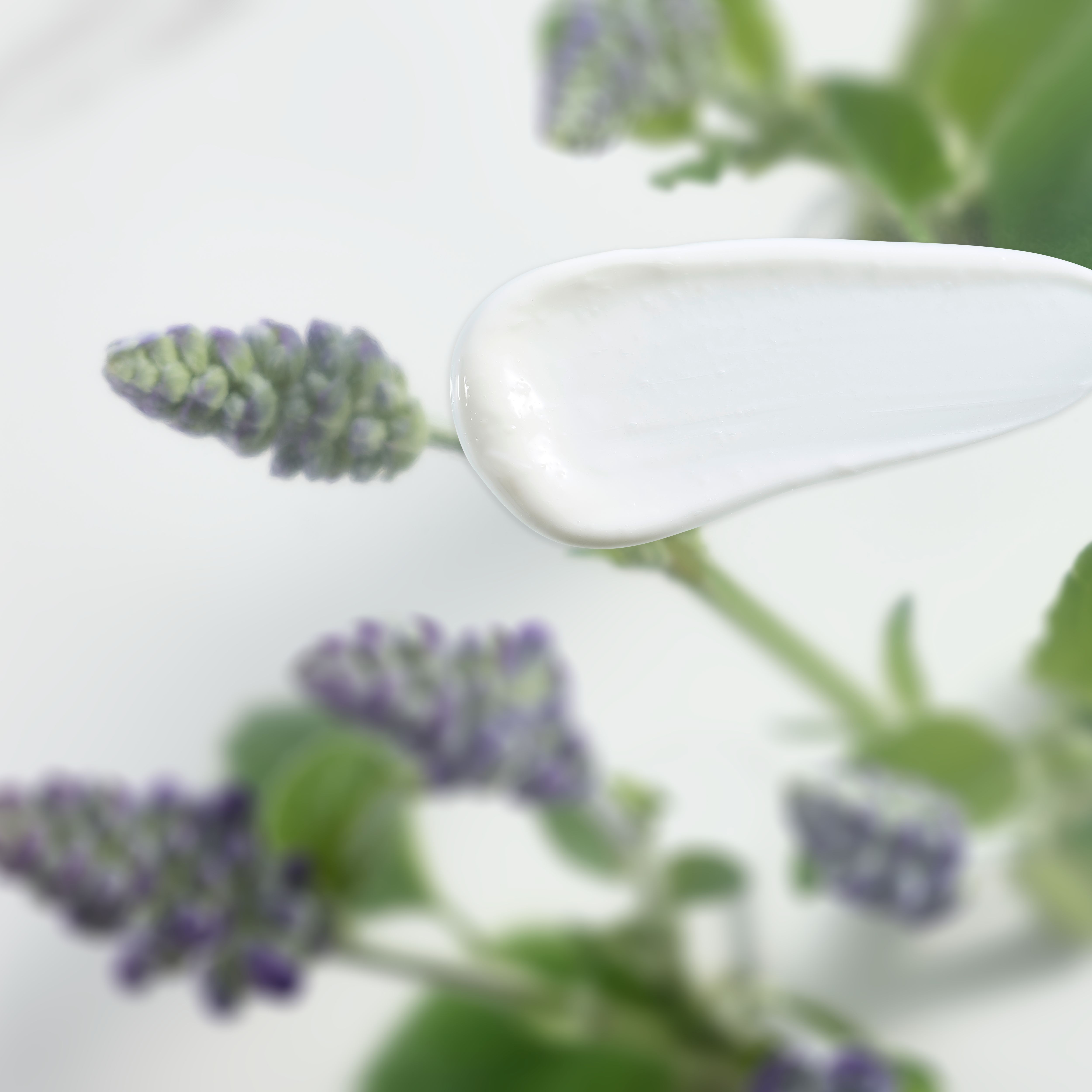 The Ritual of Namaste Anti-Ageing Lightweight Moisturiser Texture Image