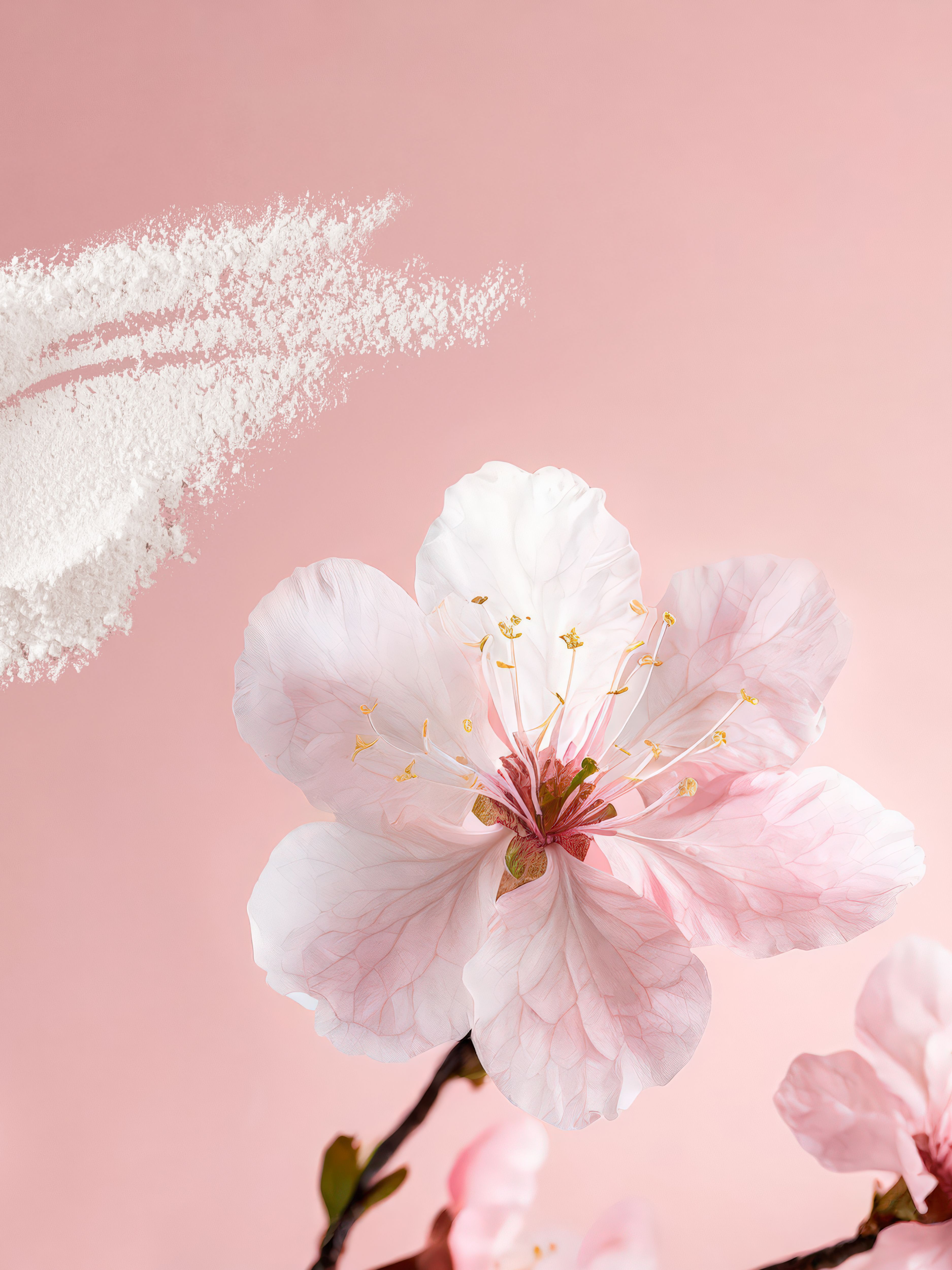 The Ritual of Sakura Natural Deodorant 75ml