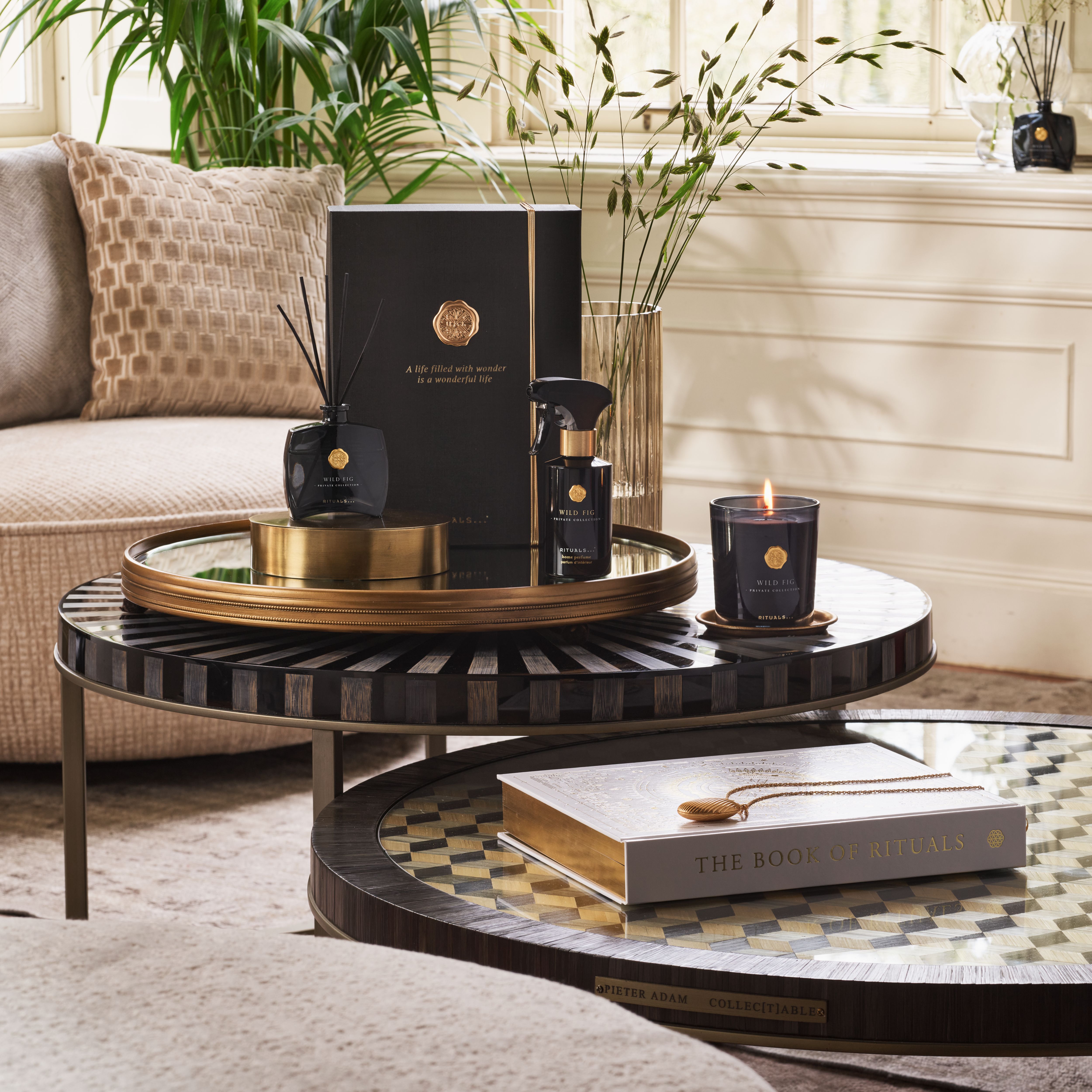 Private Collection - Wild Fig 2024