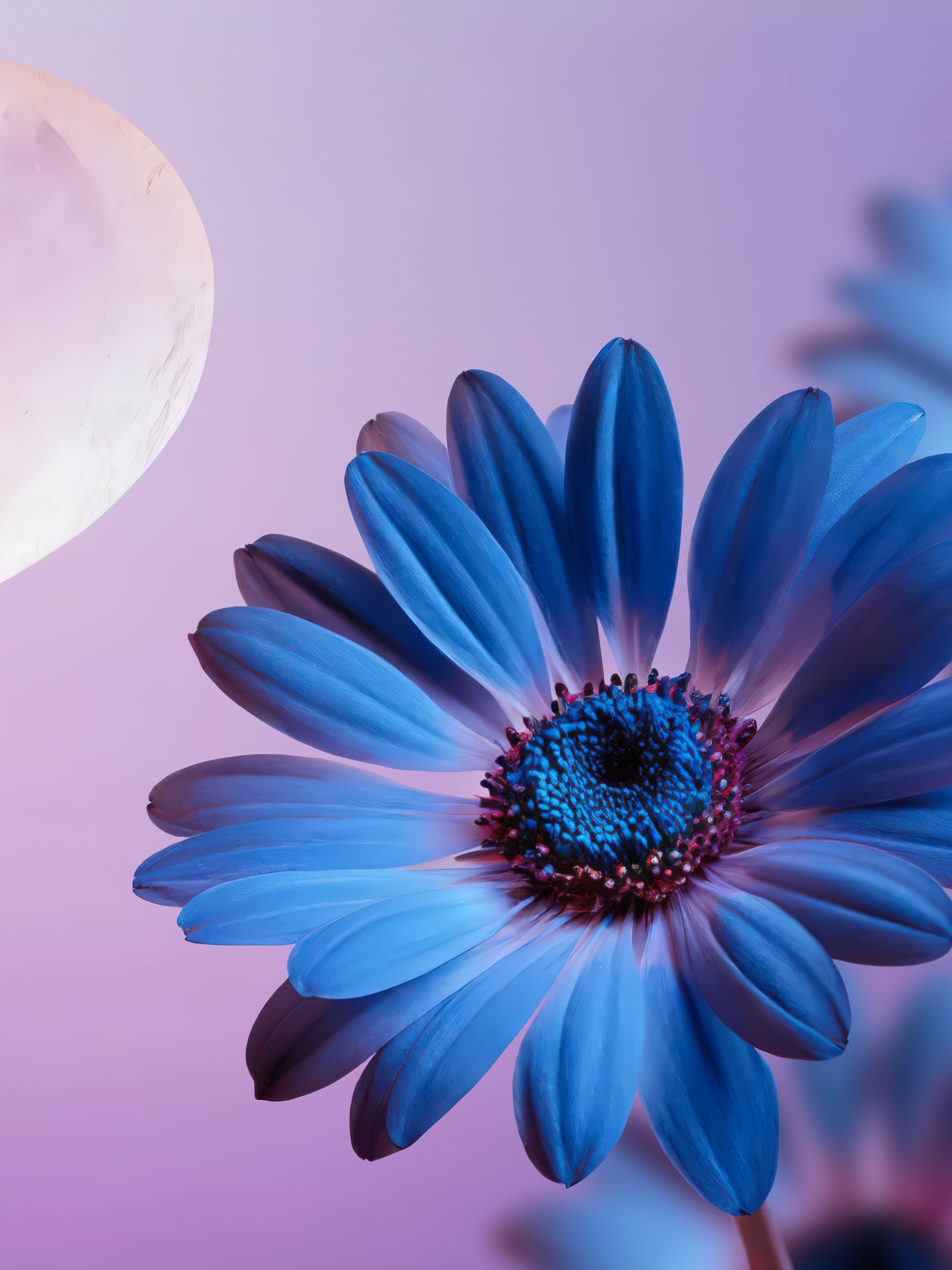 Dream Foaming Shower Gel