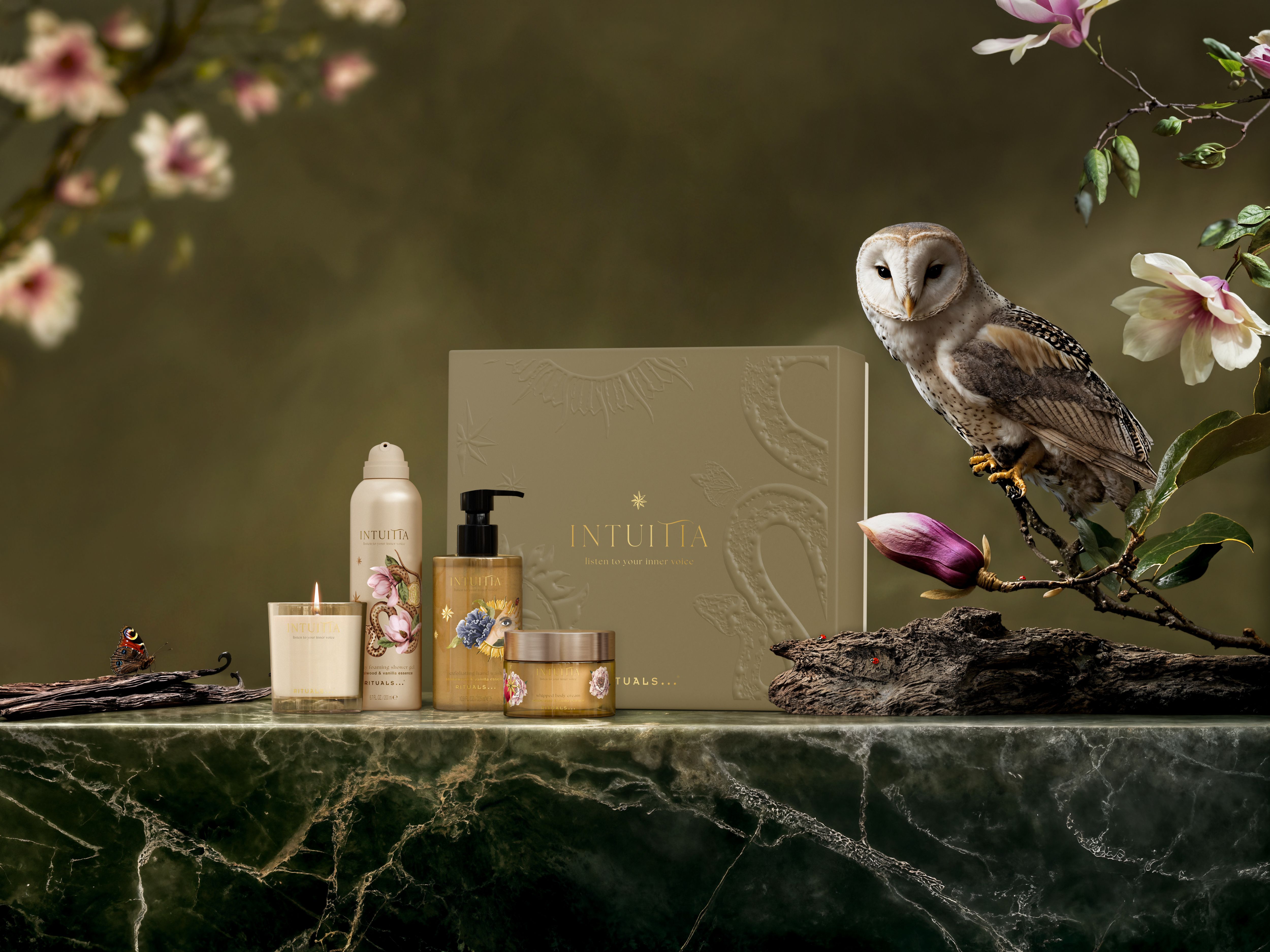 Intuitia Gift Set