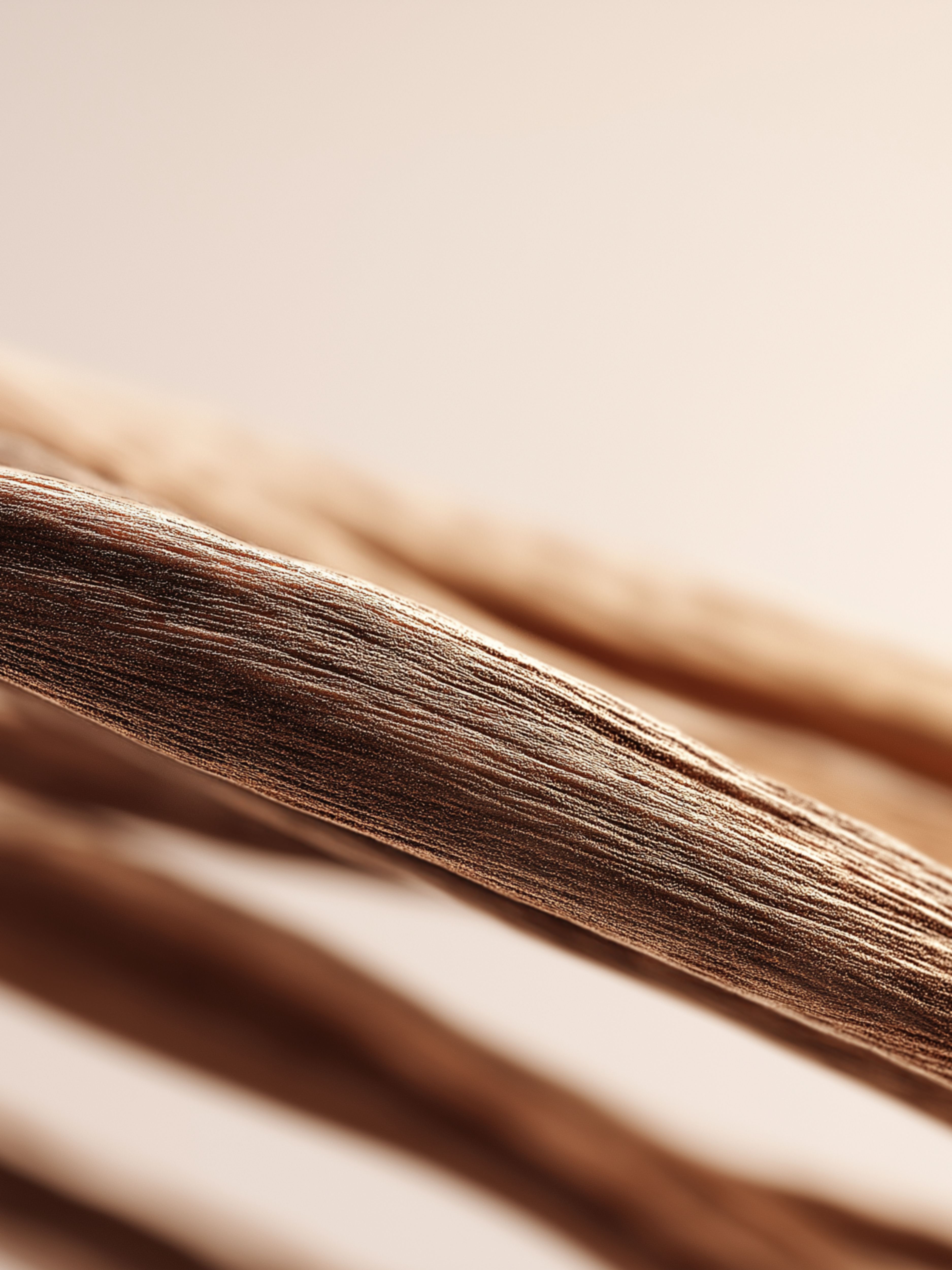 Velvet Oudh Fragrance Sticks 450ml Studio Ingredient