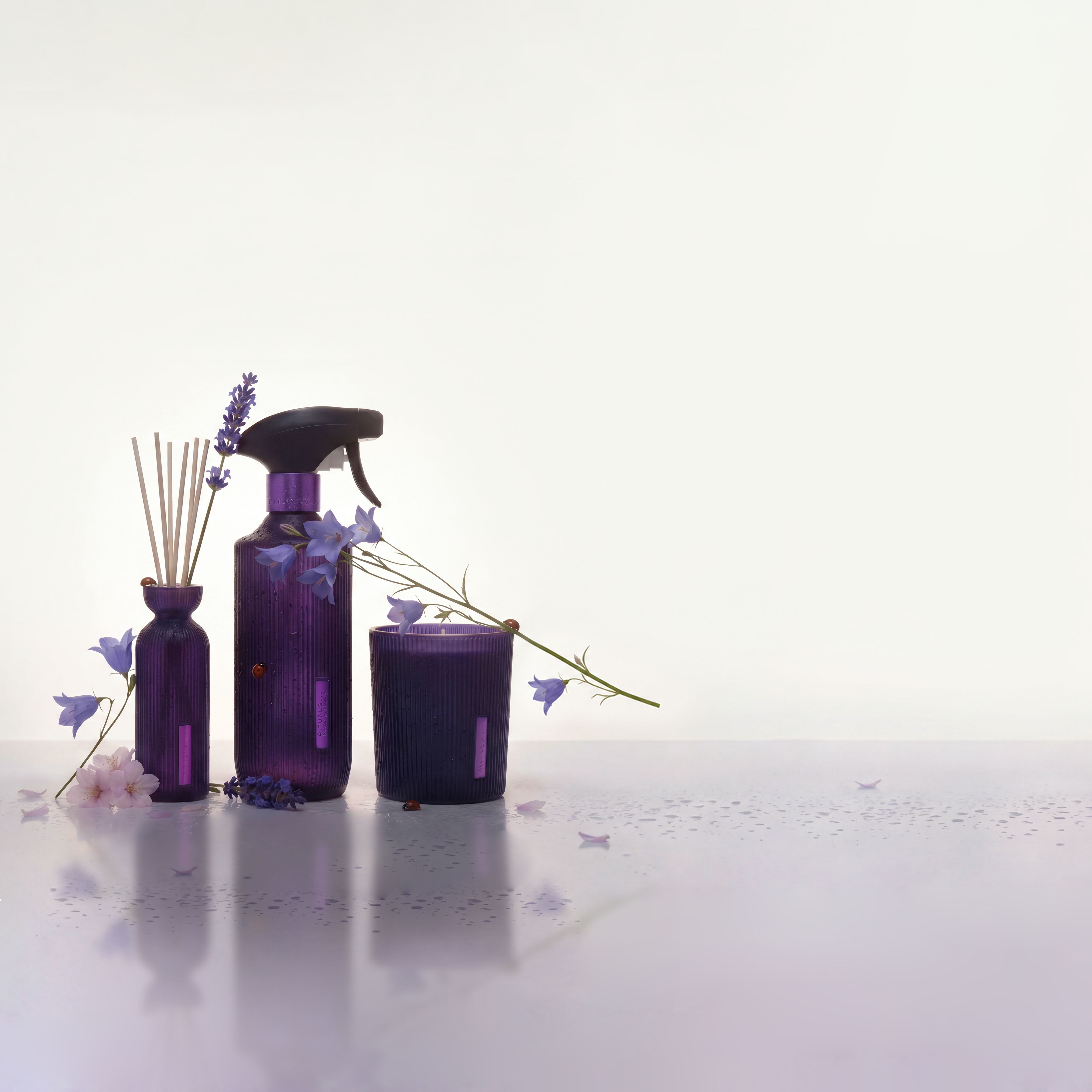 The Ritual of Yozakura Lifestyle with Product Range