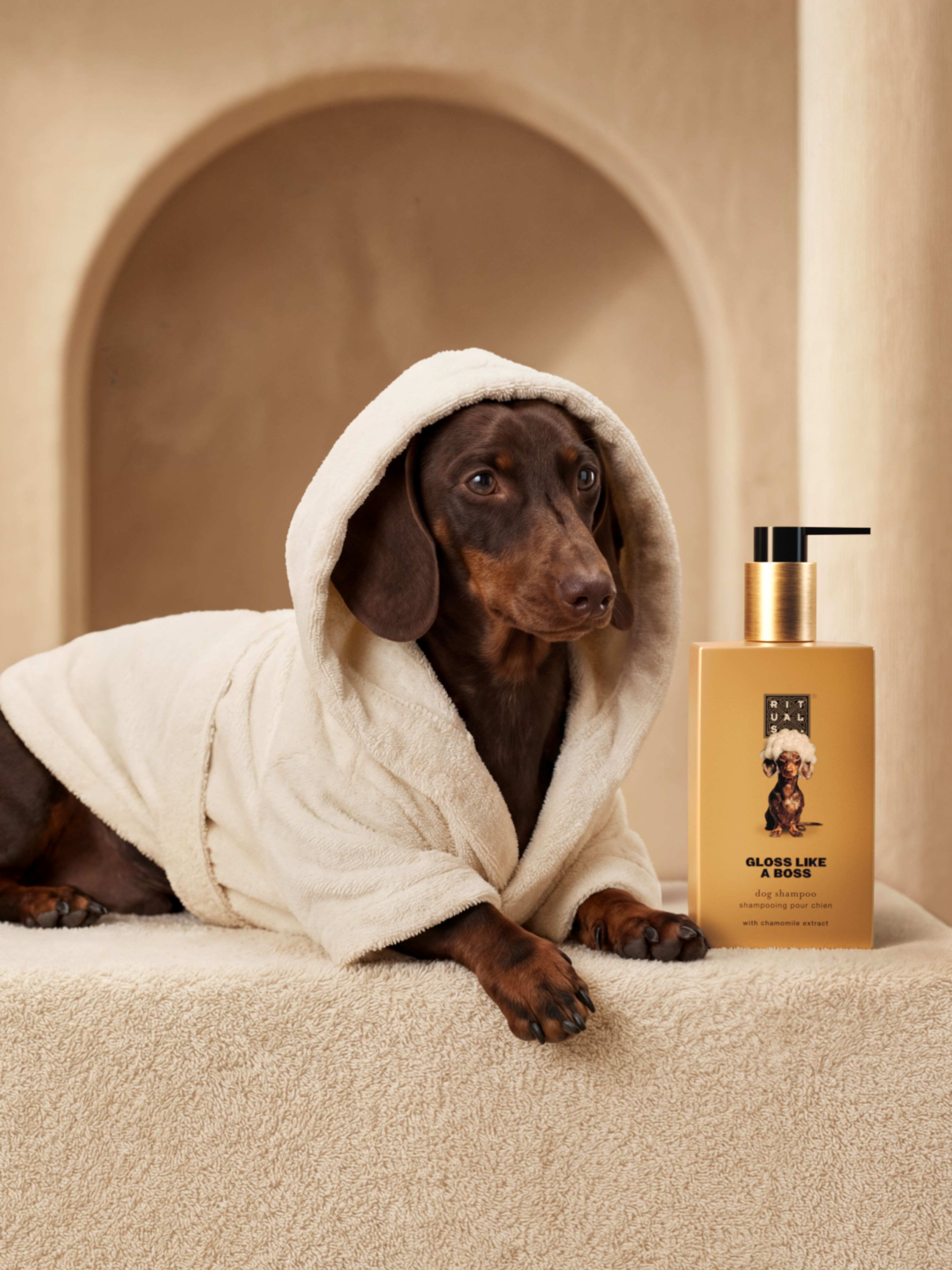 Dog Shampoo Lifestyle with Model and Packshot