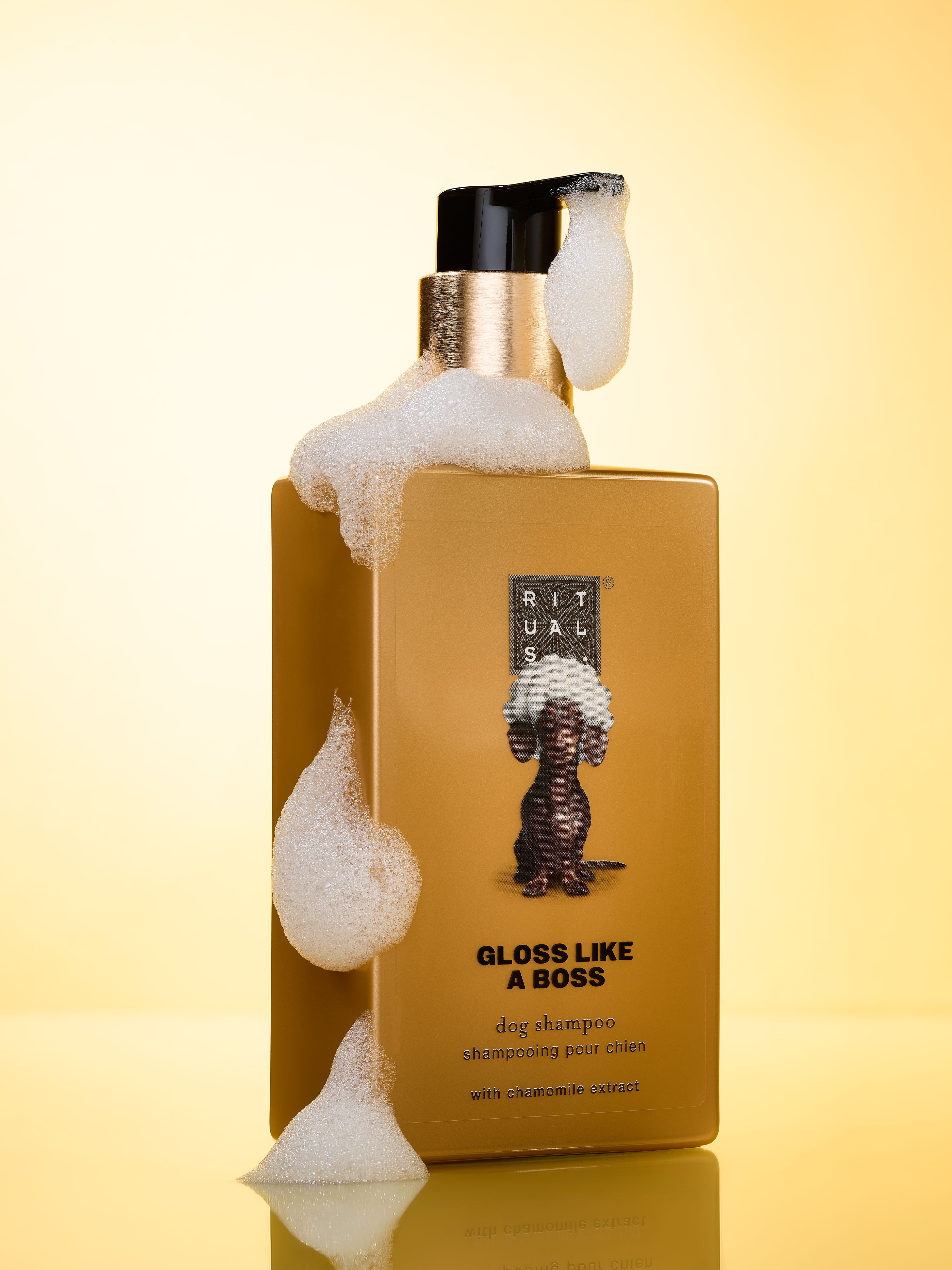 1121456-rituals-dc26047-dog-shampoo-2026