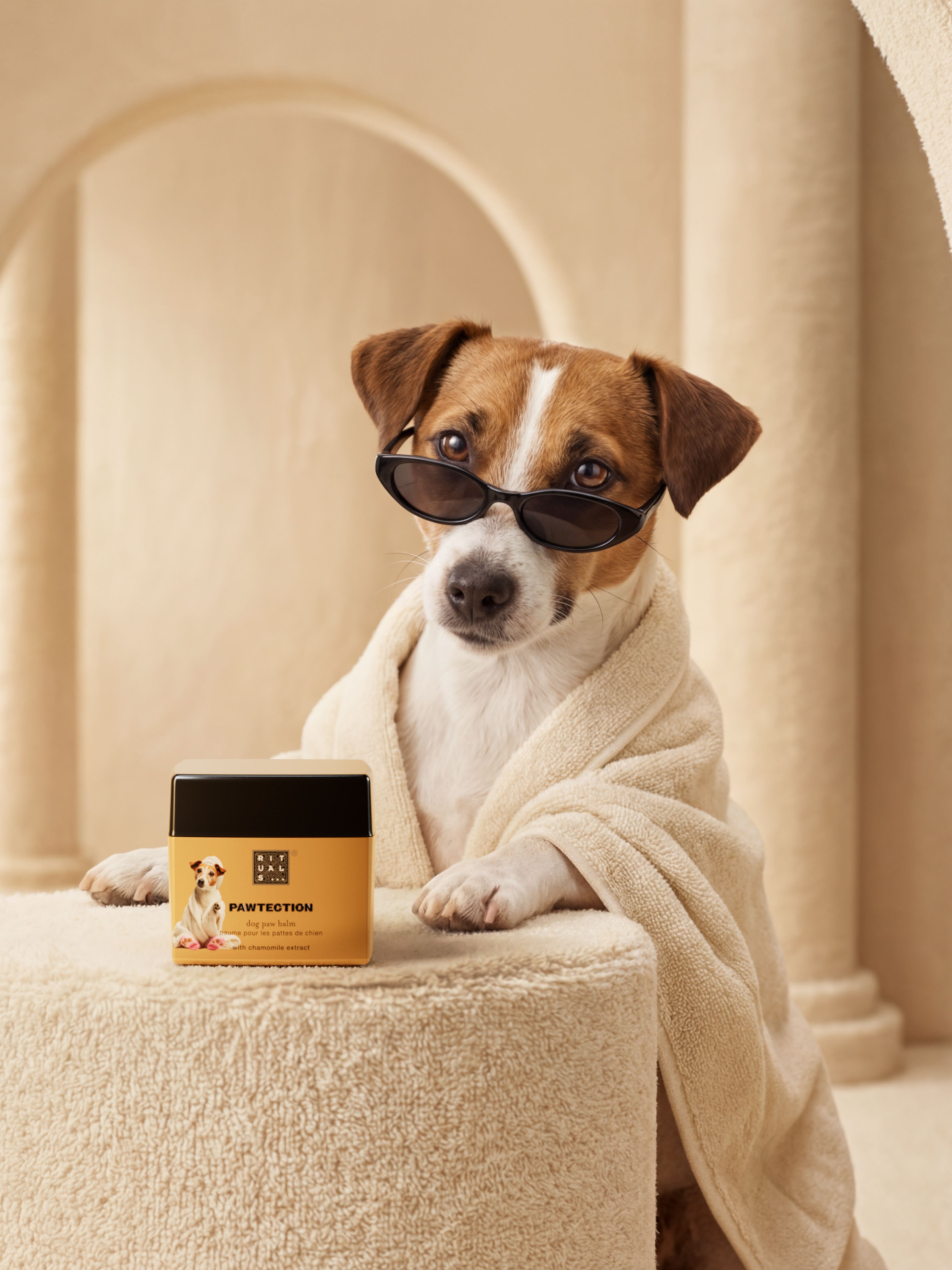 Dog Paw Balm Lifestyle with Model and Packshot