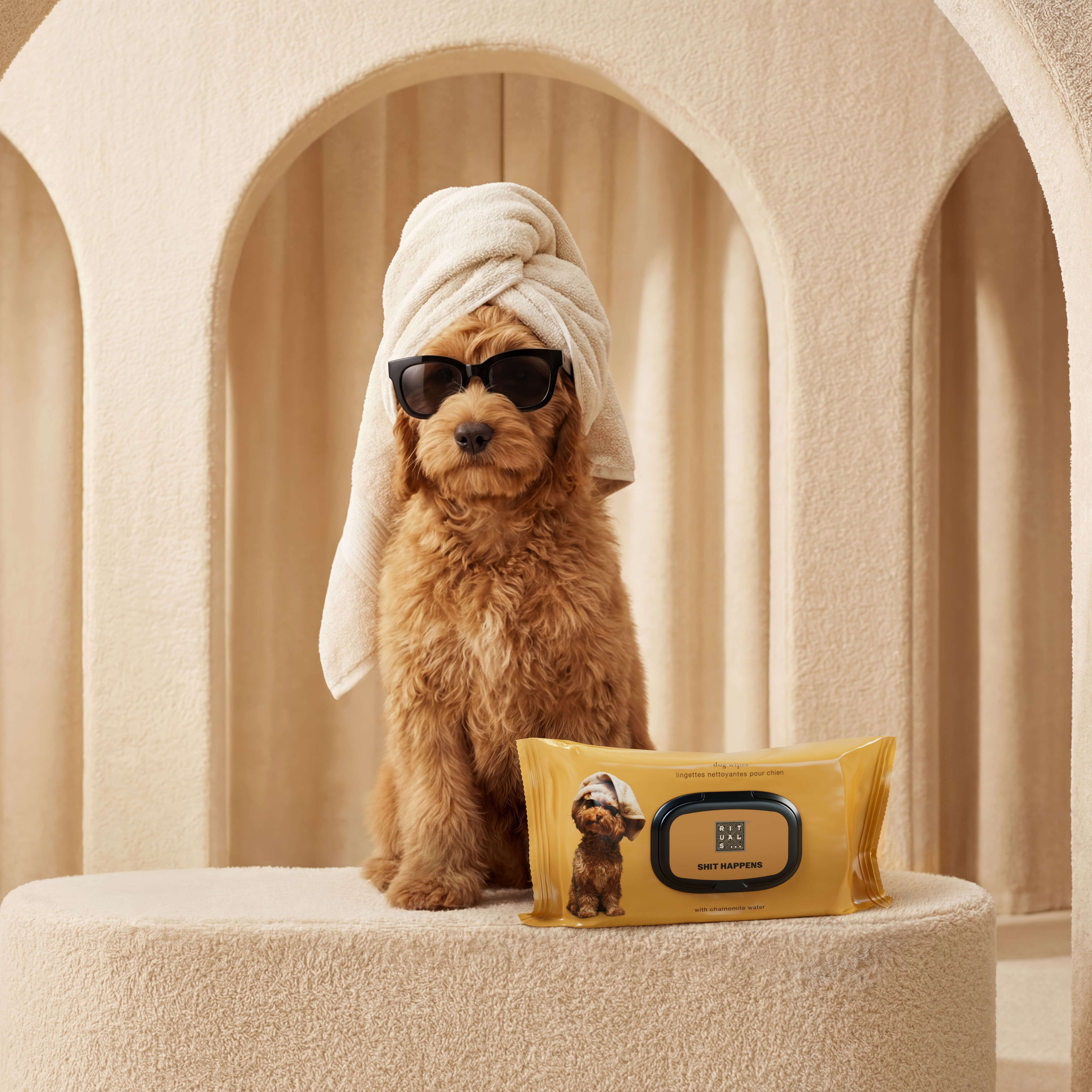 Dog Wipes Lifestyle with Model and Packshot