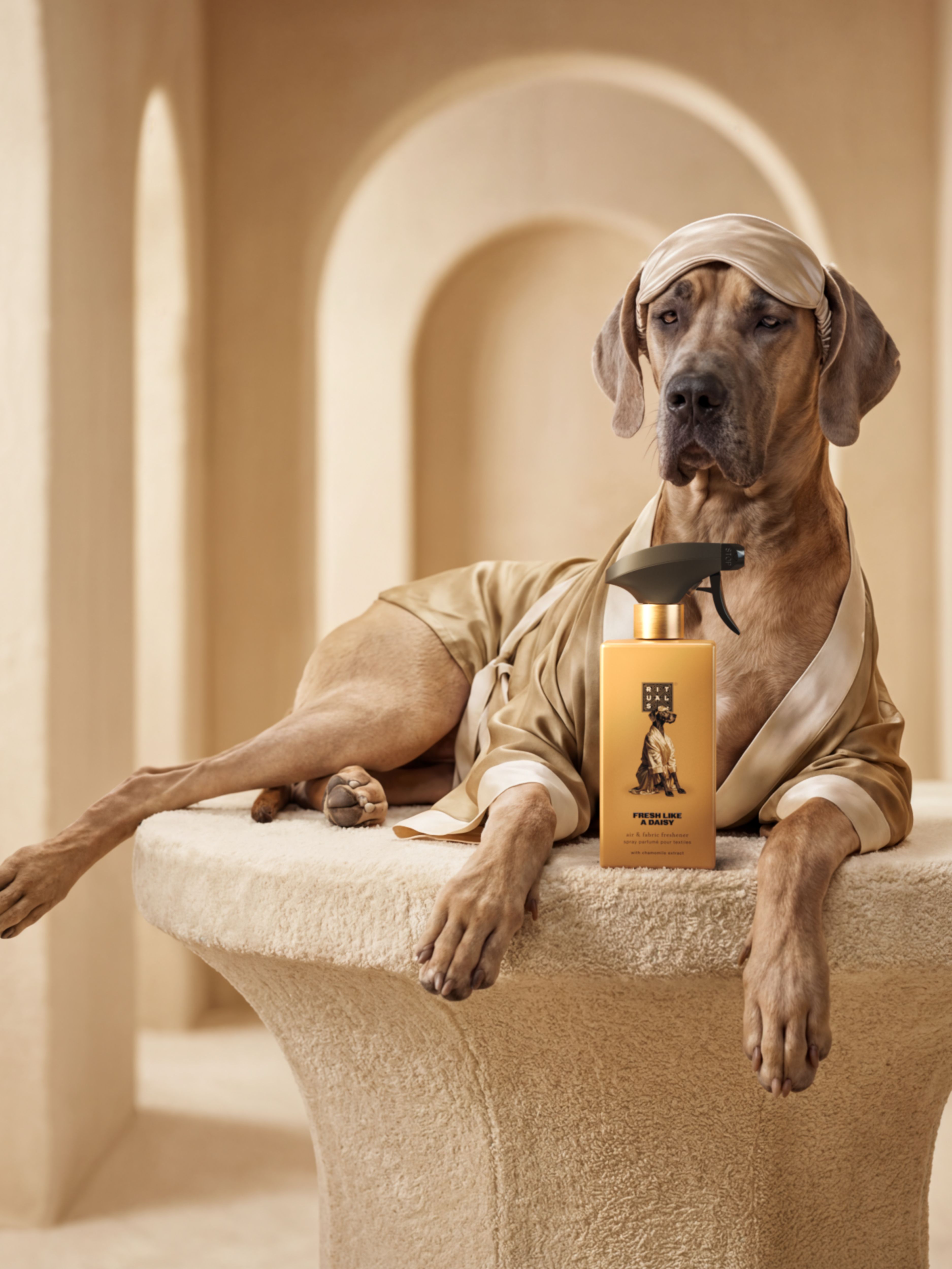 Air & Fabric Freshener Lifestyle with Model and Packshot