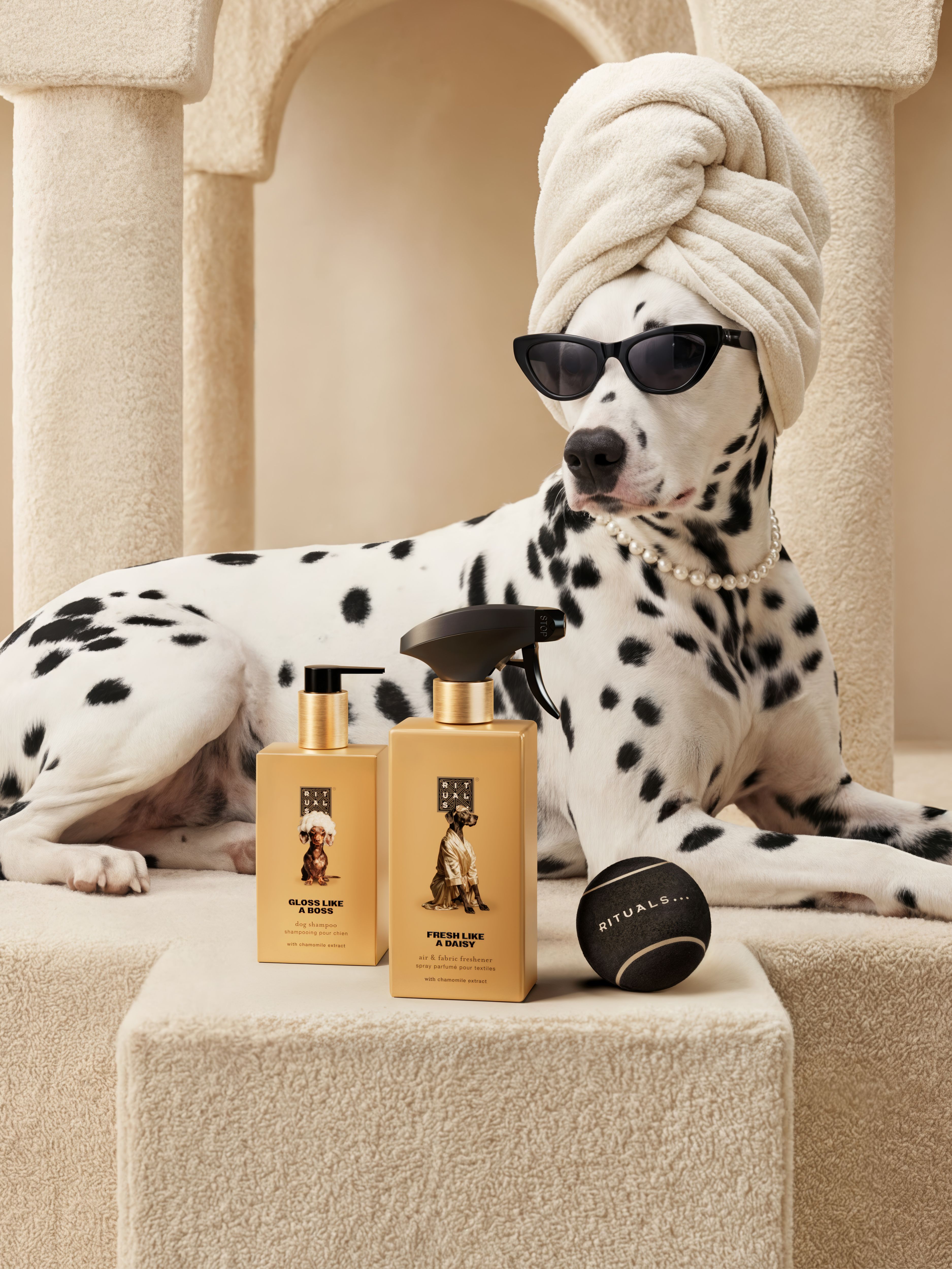 Dog Essentials Set Lifestyle with Model and Packshot