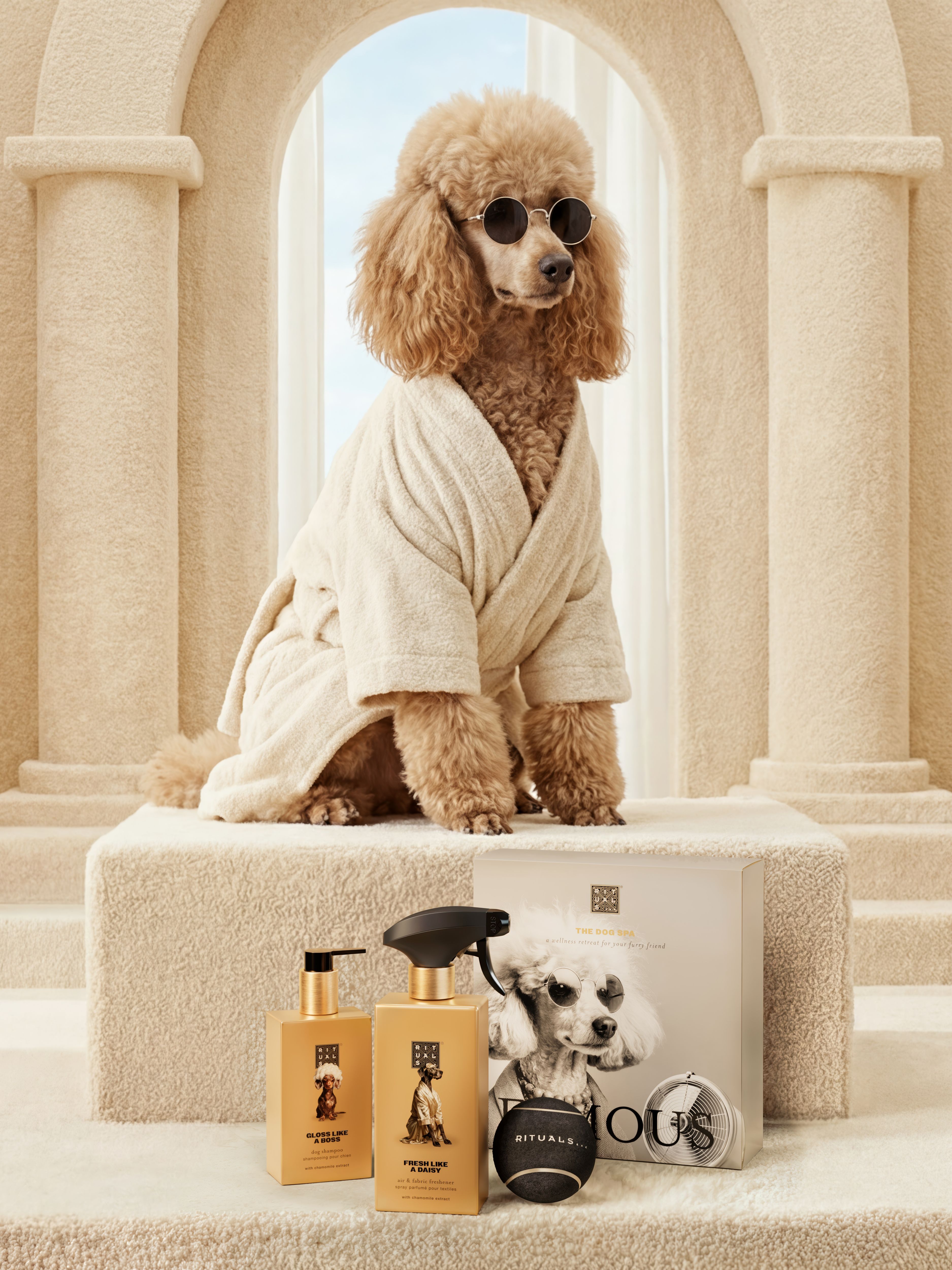 Dog Essentials Set Lifestyle with Closed Pack