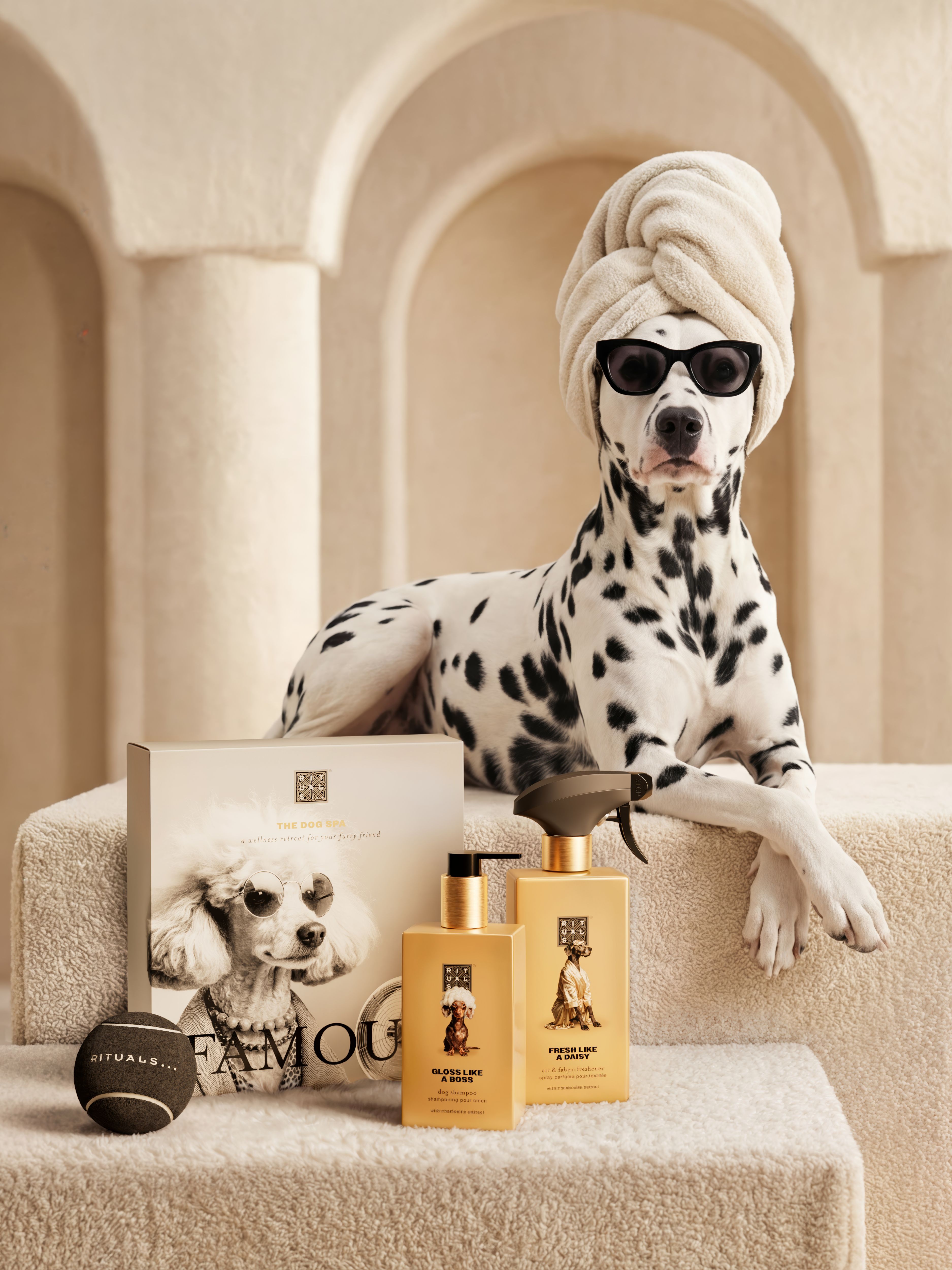 Dog Essentials Set Lifestyle with Model and Packshot