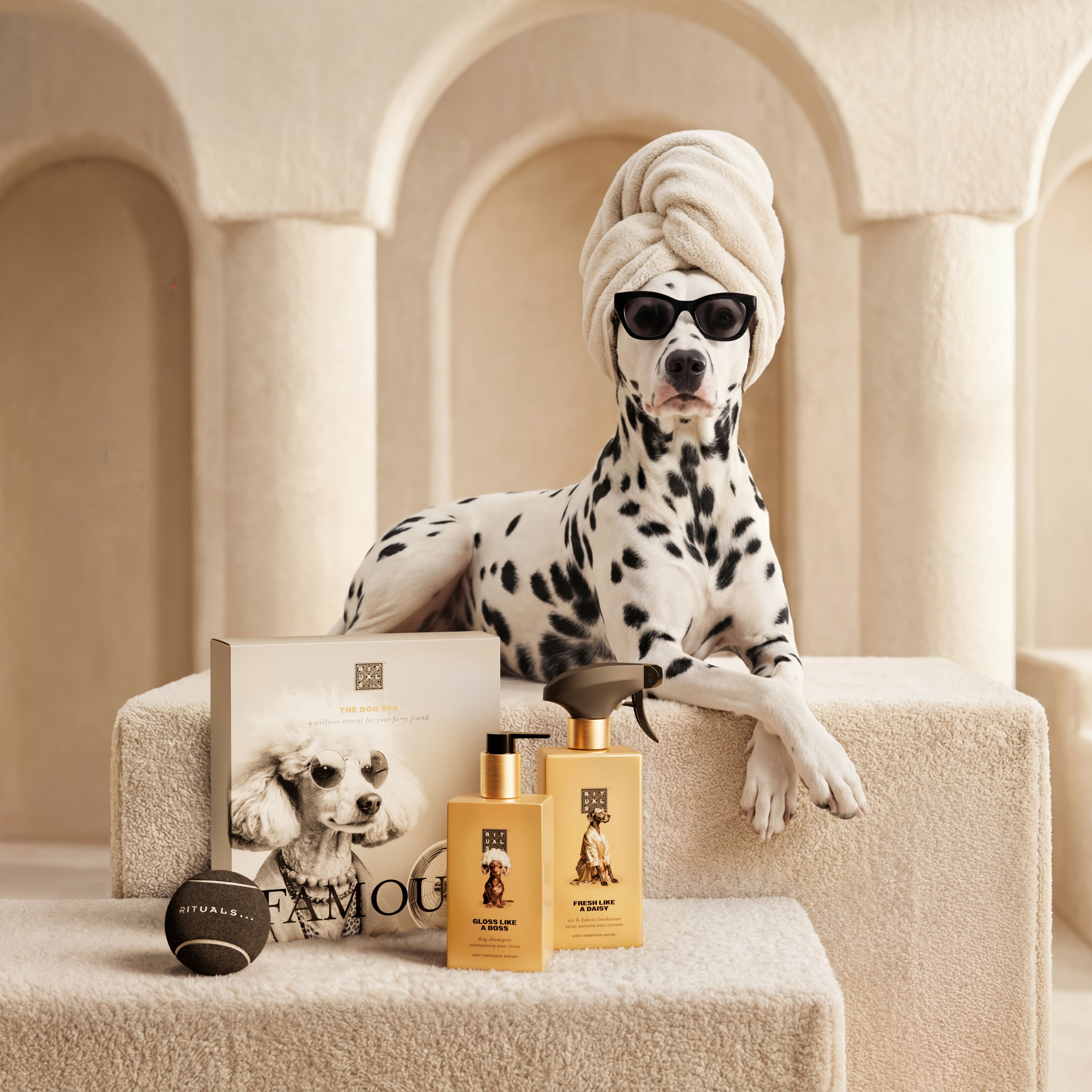 Dog Essentials Set Lifestyle with Model and Packshot