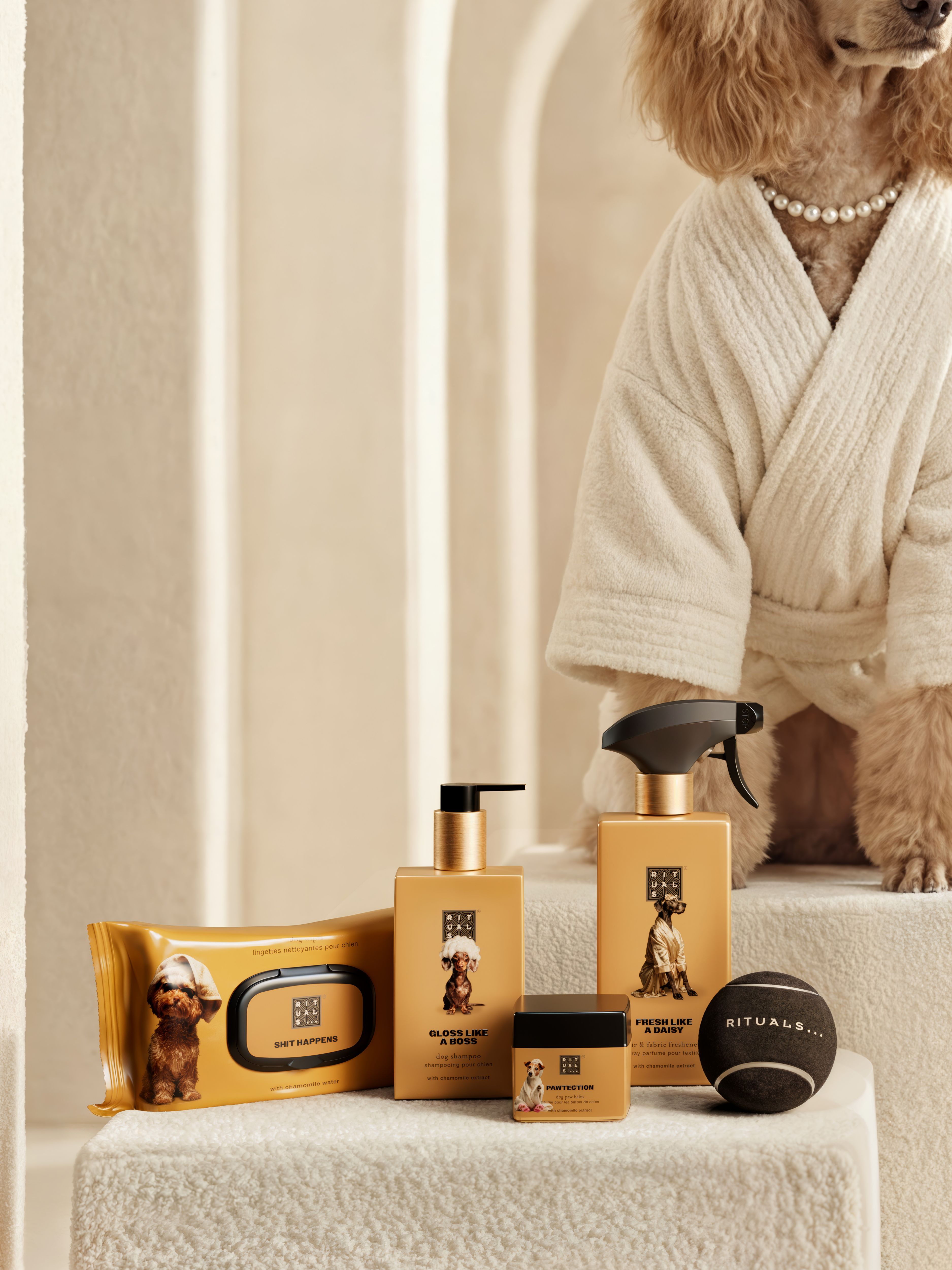 Dog Wellness Pack Lifestyle with Model and Packshot