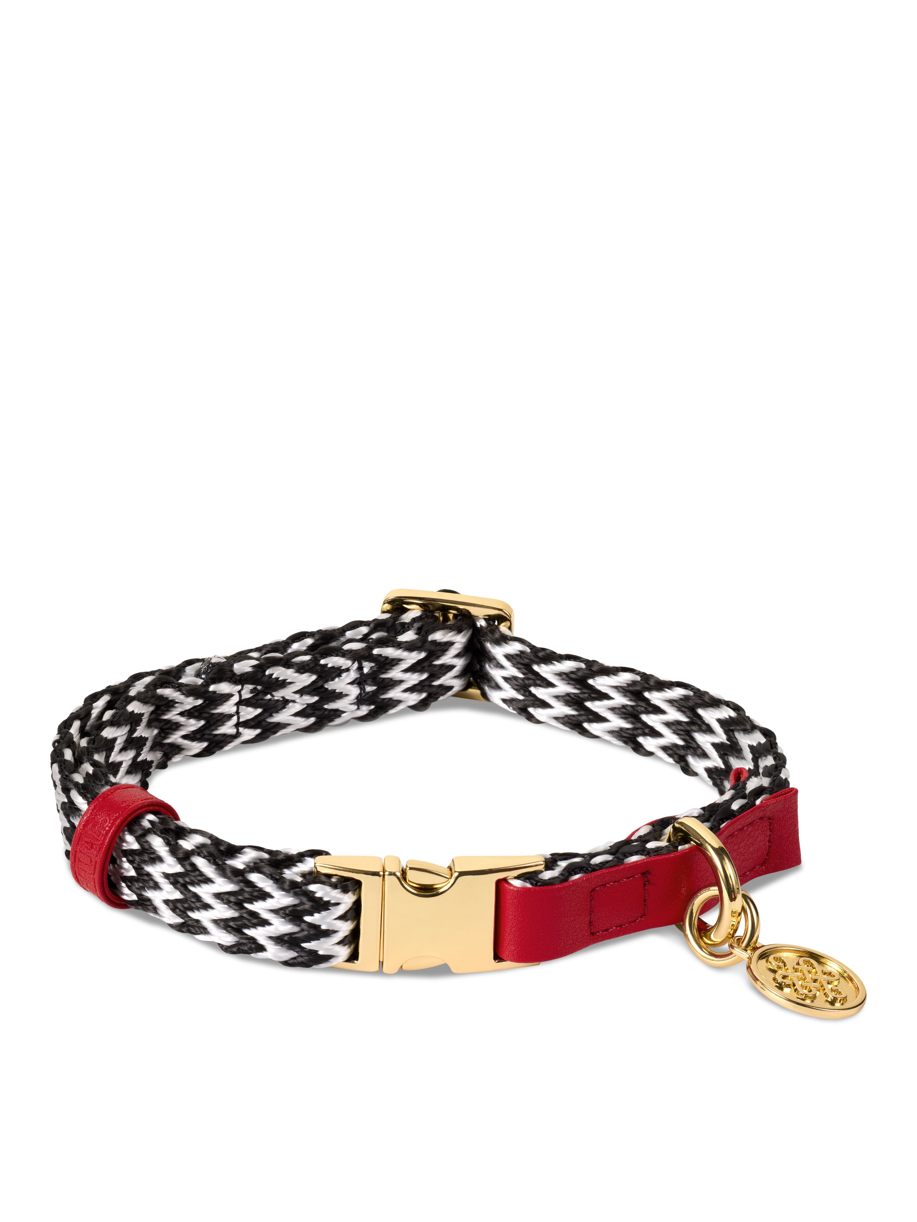 Dog Collar Size S/M Product Image