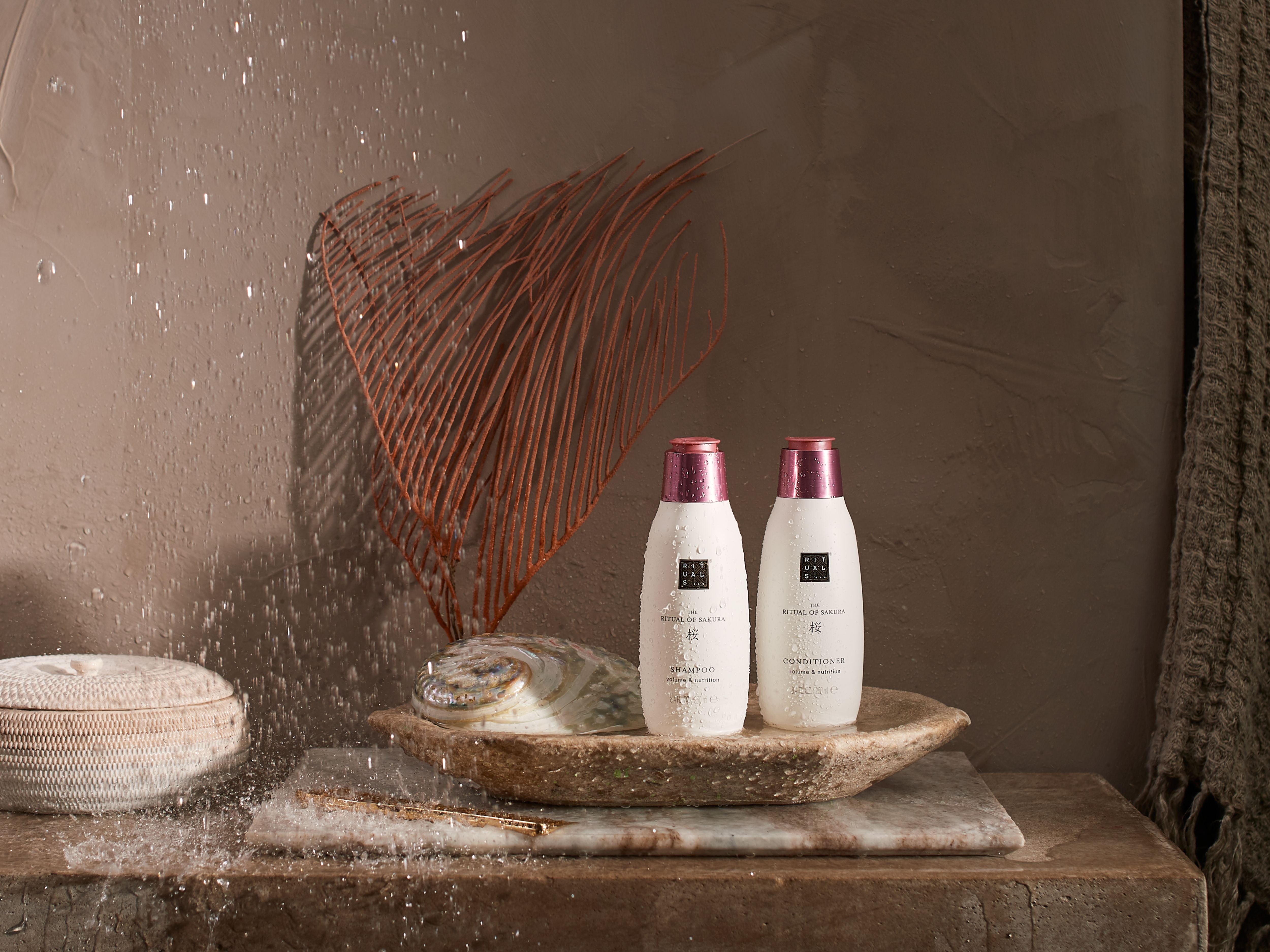 Shampoos & Conditioners