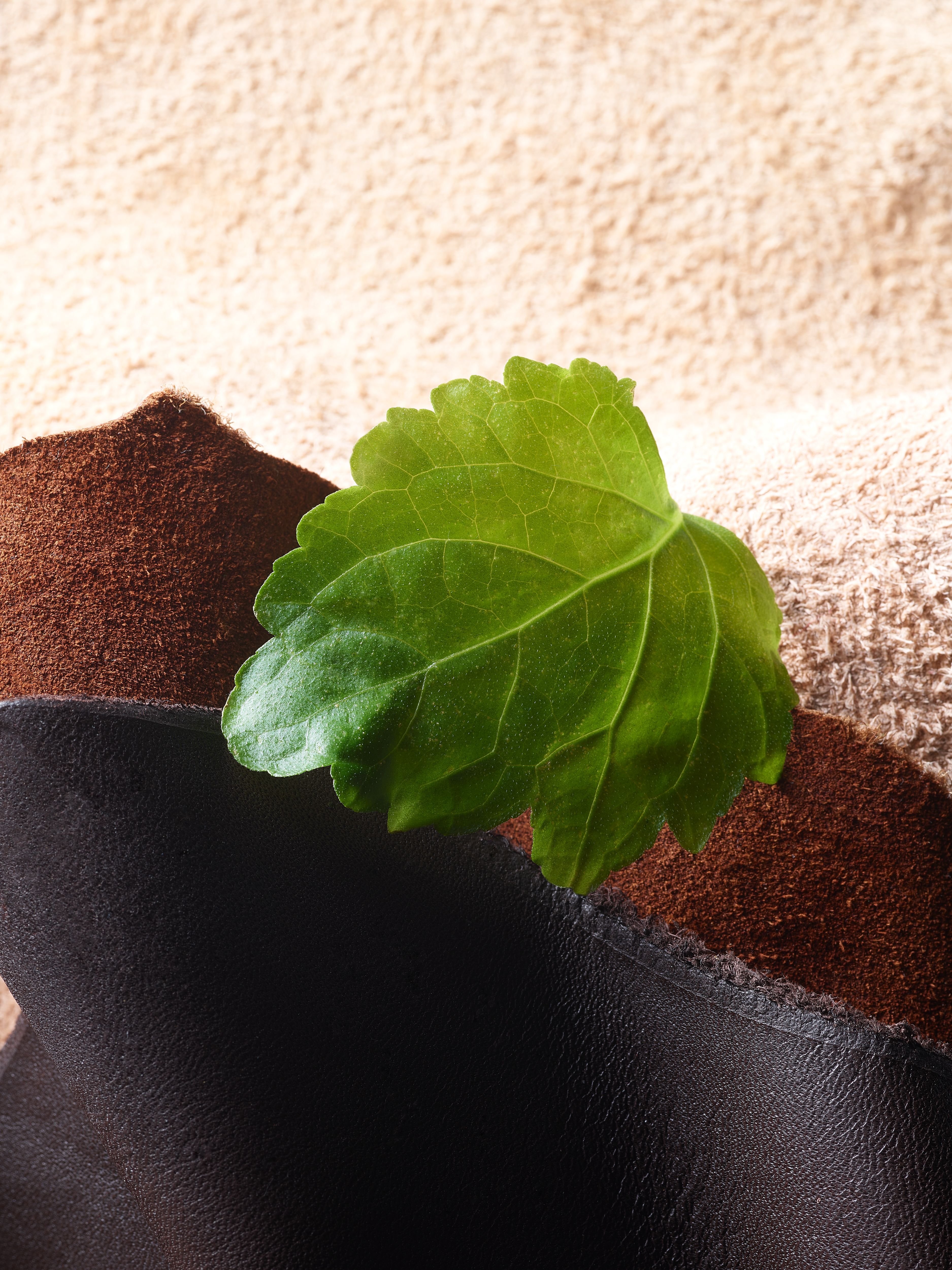 Life is a Journey - Sport Car Perfume