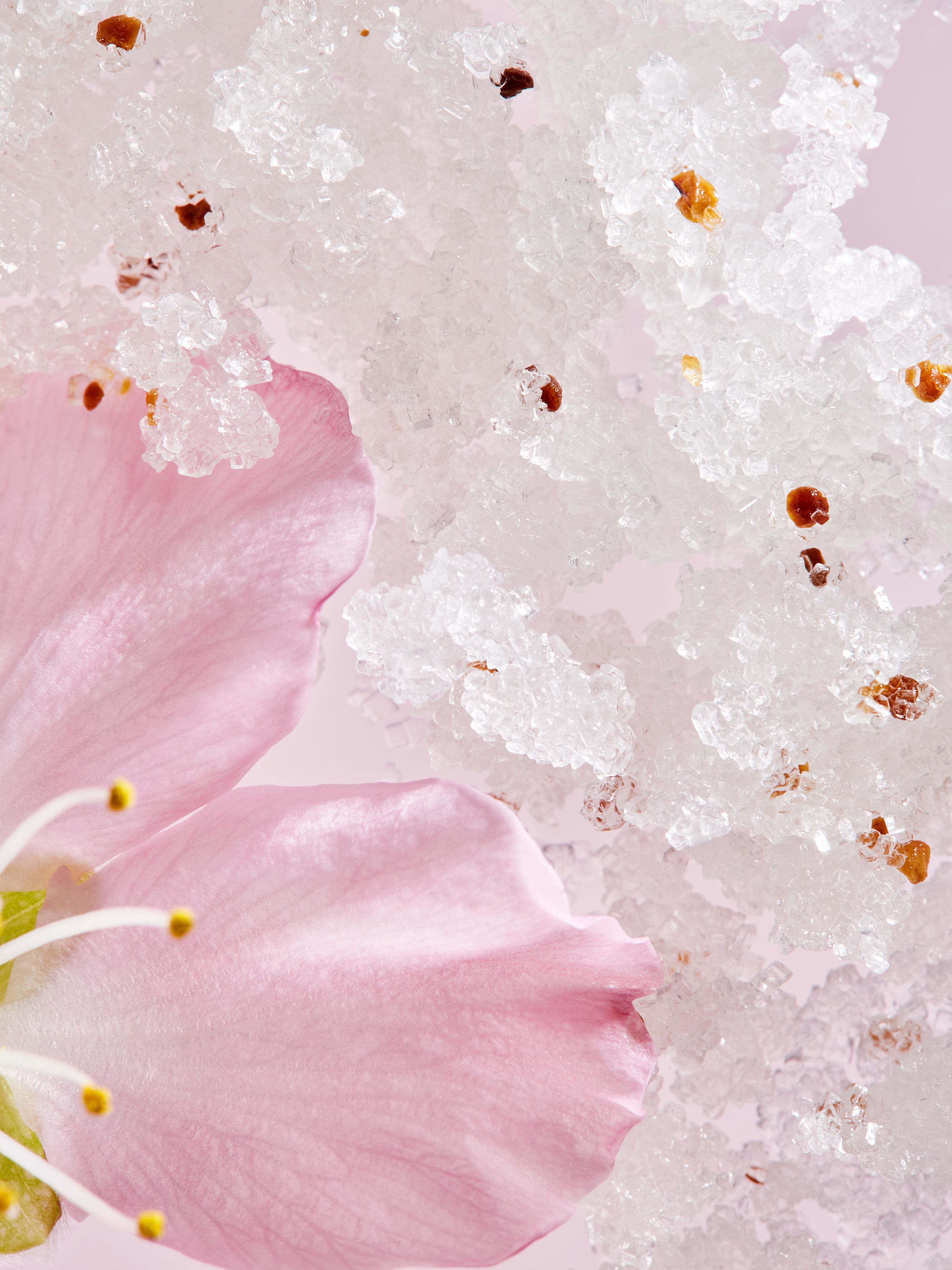 The Ritual of Sakura Body Scrub 250g Texture Image