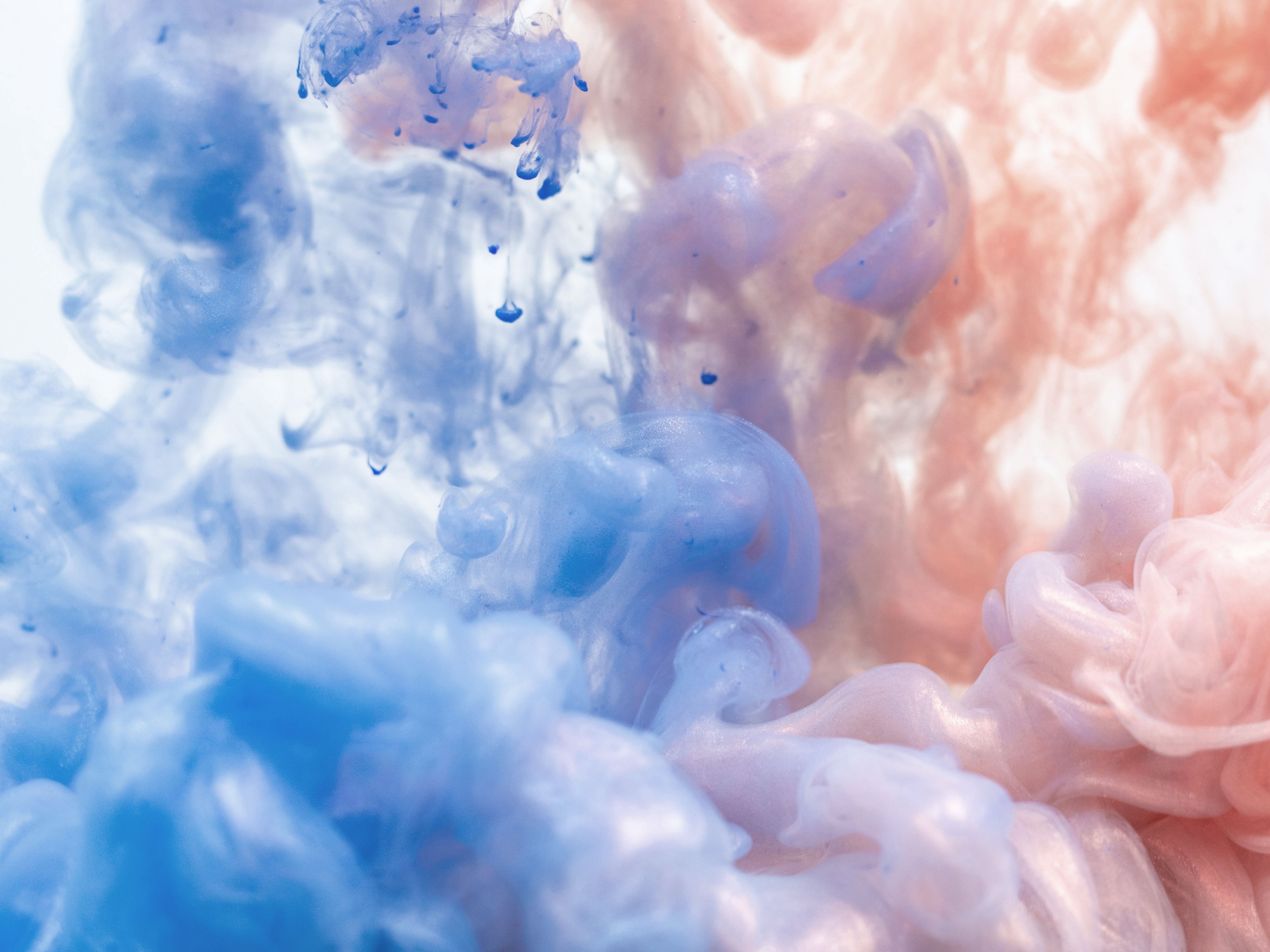 The power of scent: supercharge your energy levels, motivation & more