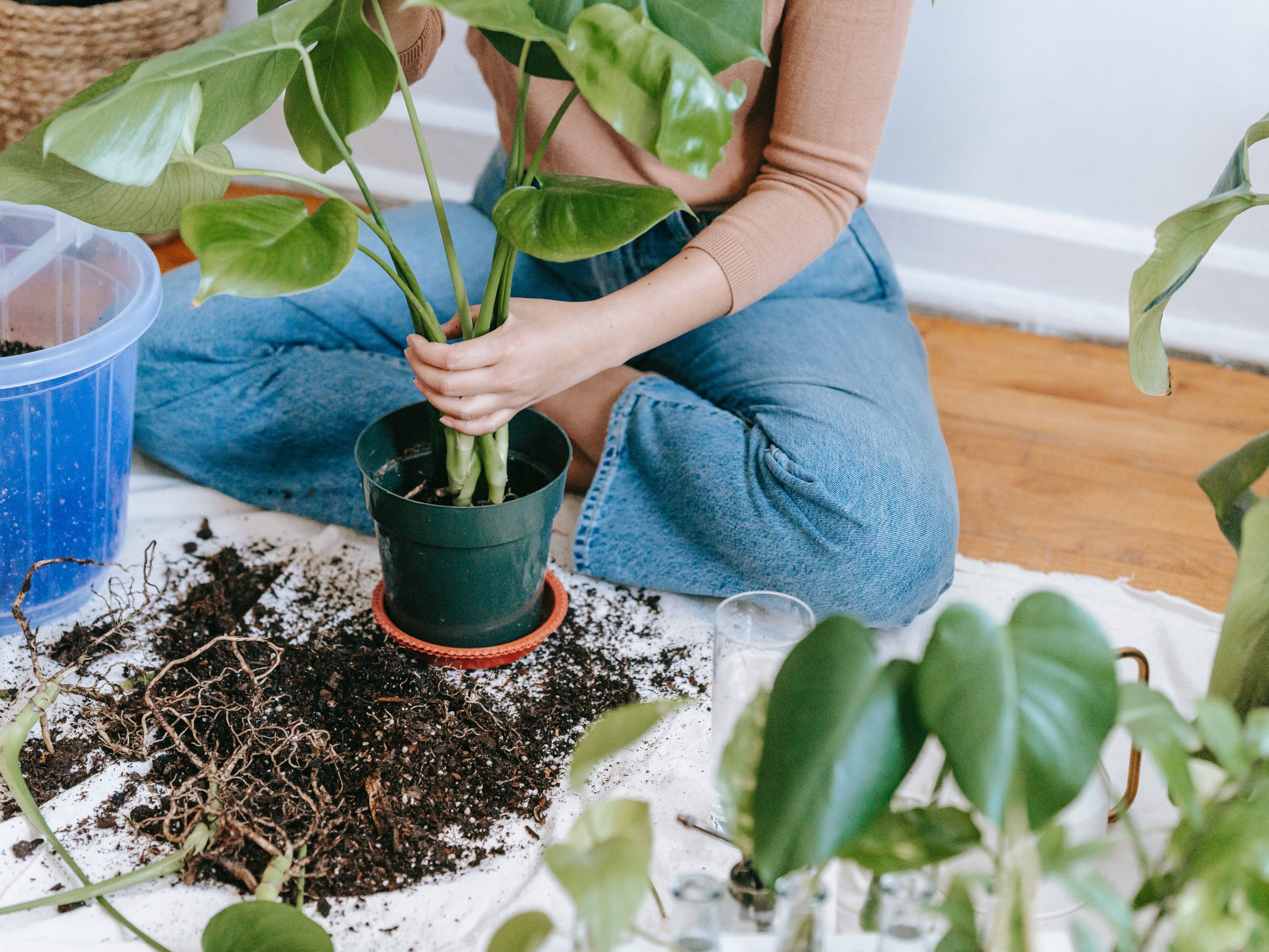 Cultivez votre bien-être en jardinant en pleine conscience