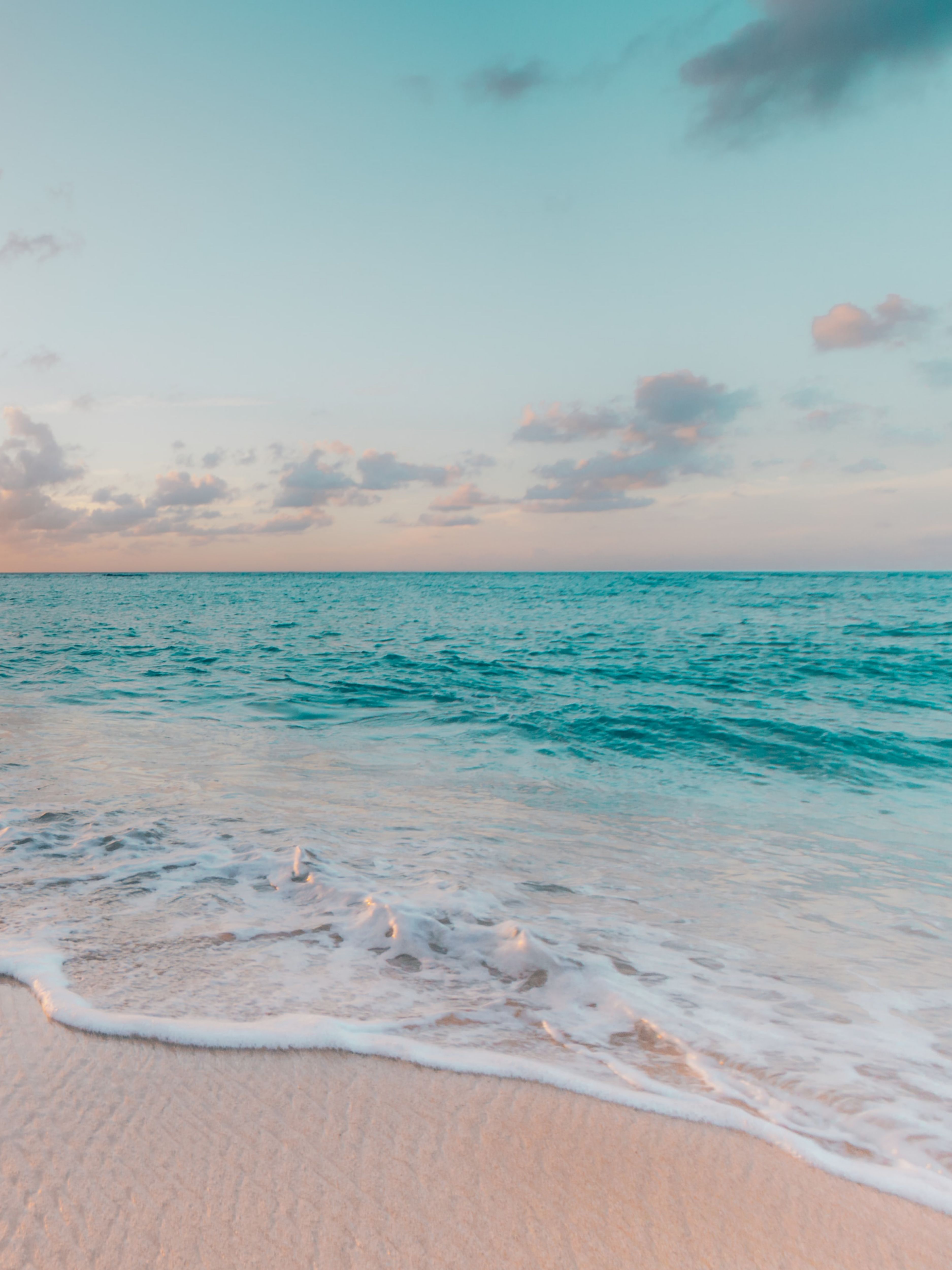 Blue Wellness