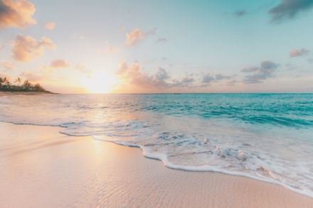 Blue Wellness
