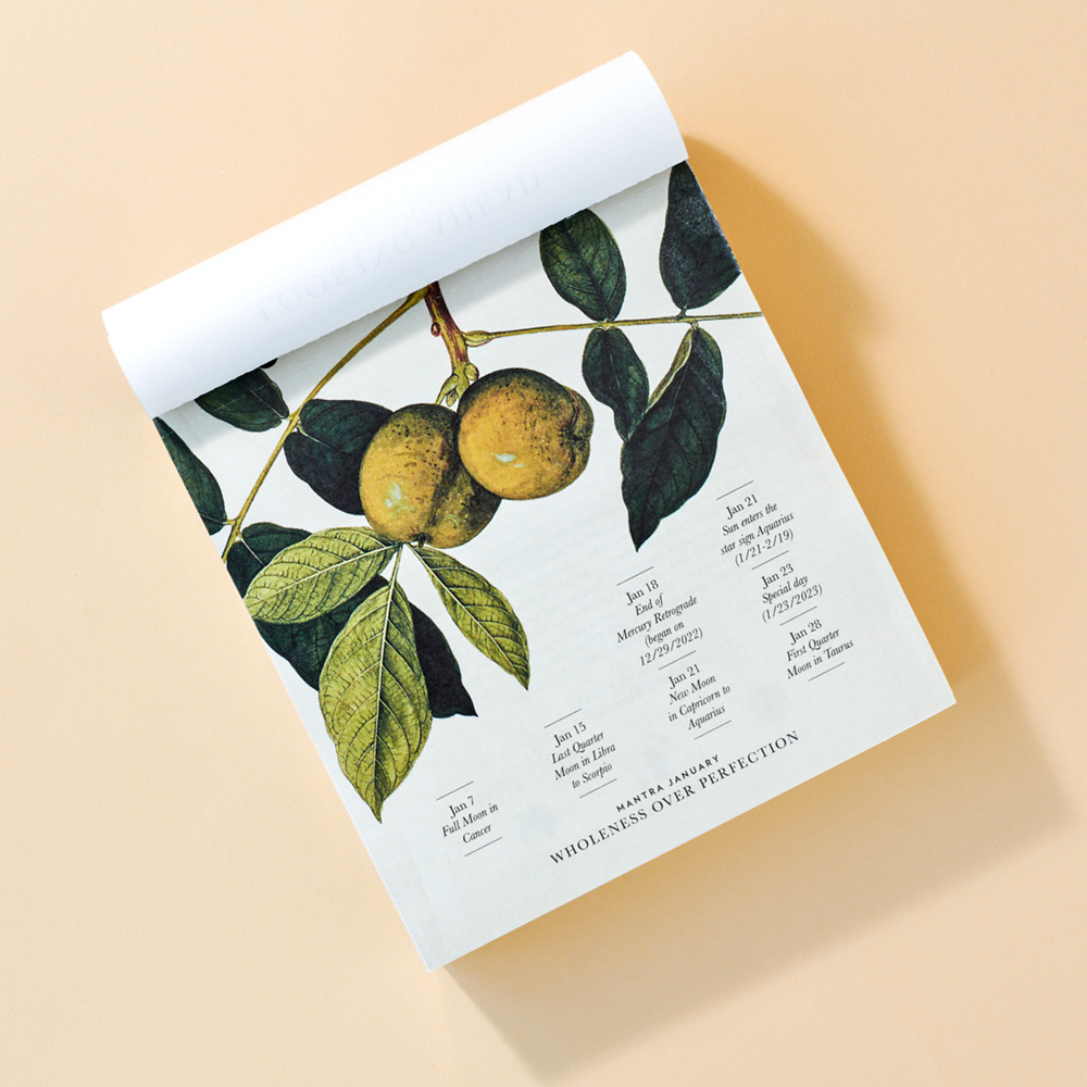 Moonsisters Moon Calendar 2023 - mondkalender 2023 | RITUALS