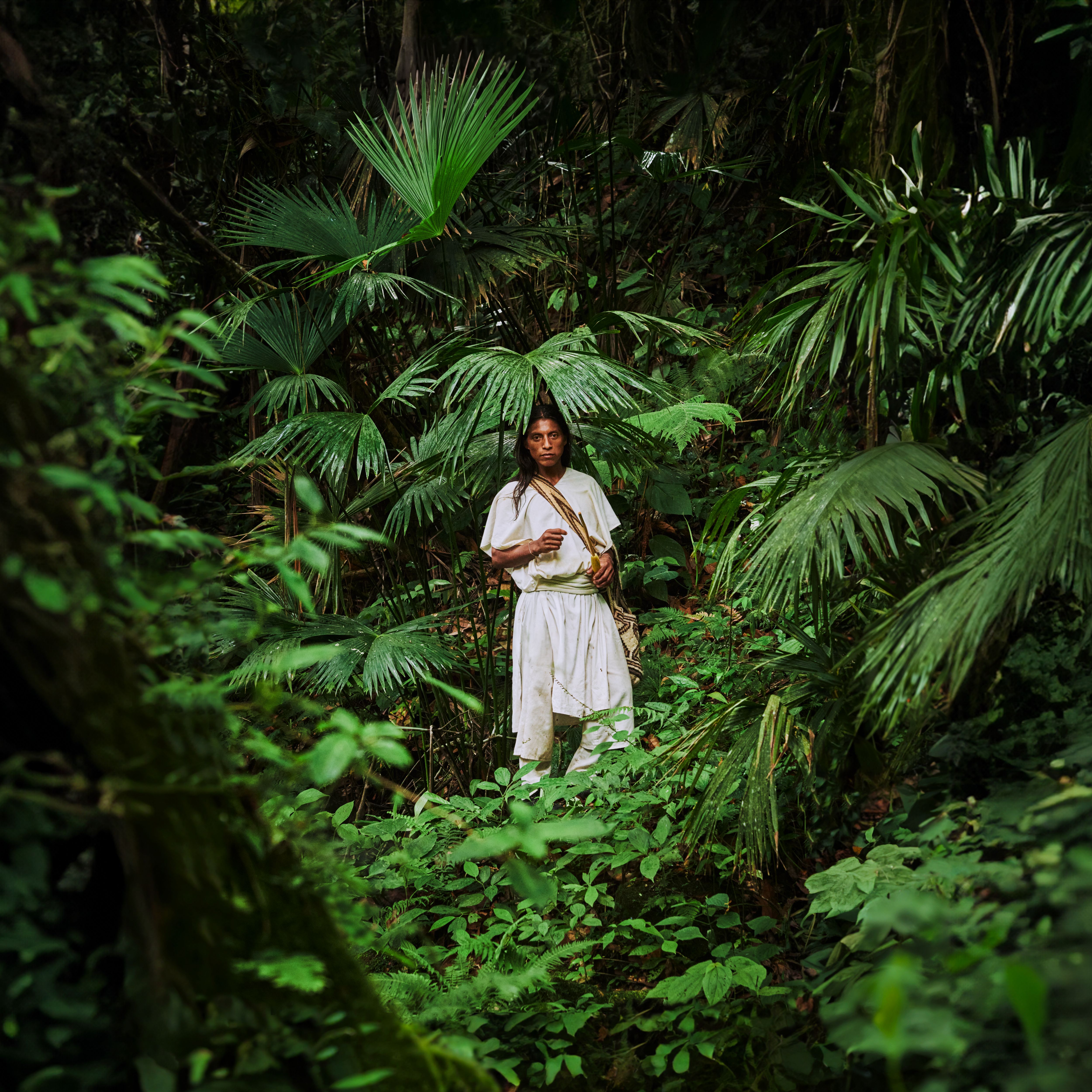 Arhuaco Sacred Forests