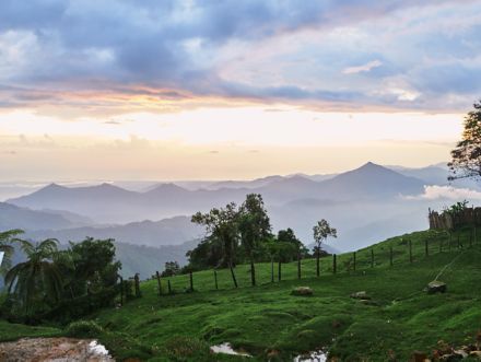 Inside the Sierra Nevada, the world's most biodiverse rainforest