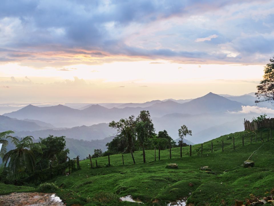 Inside the Sierra Nevada, the world's most biodiverse rainforest