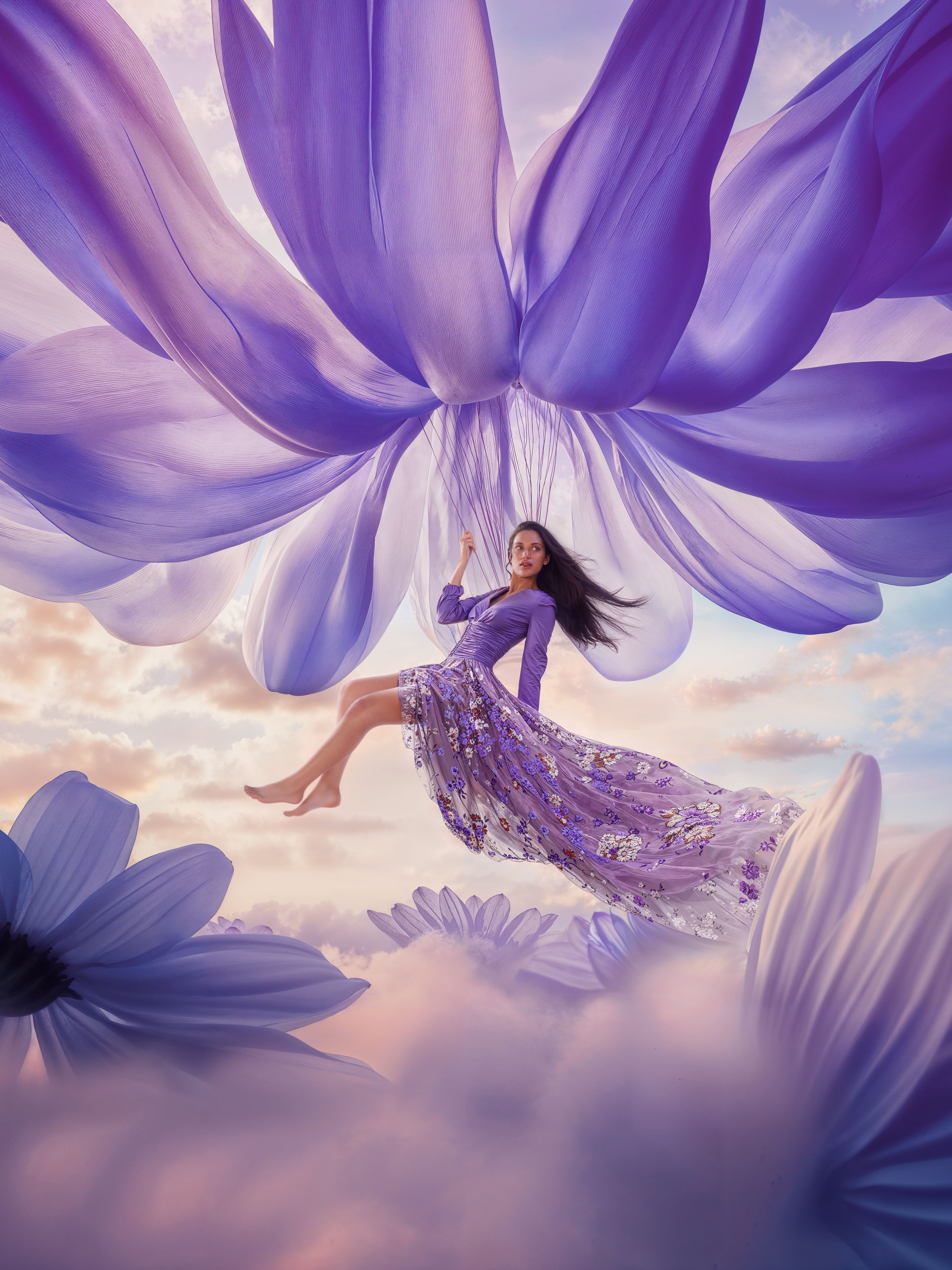 The Dream Collection