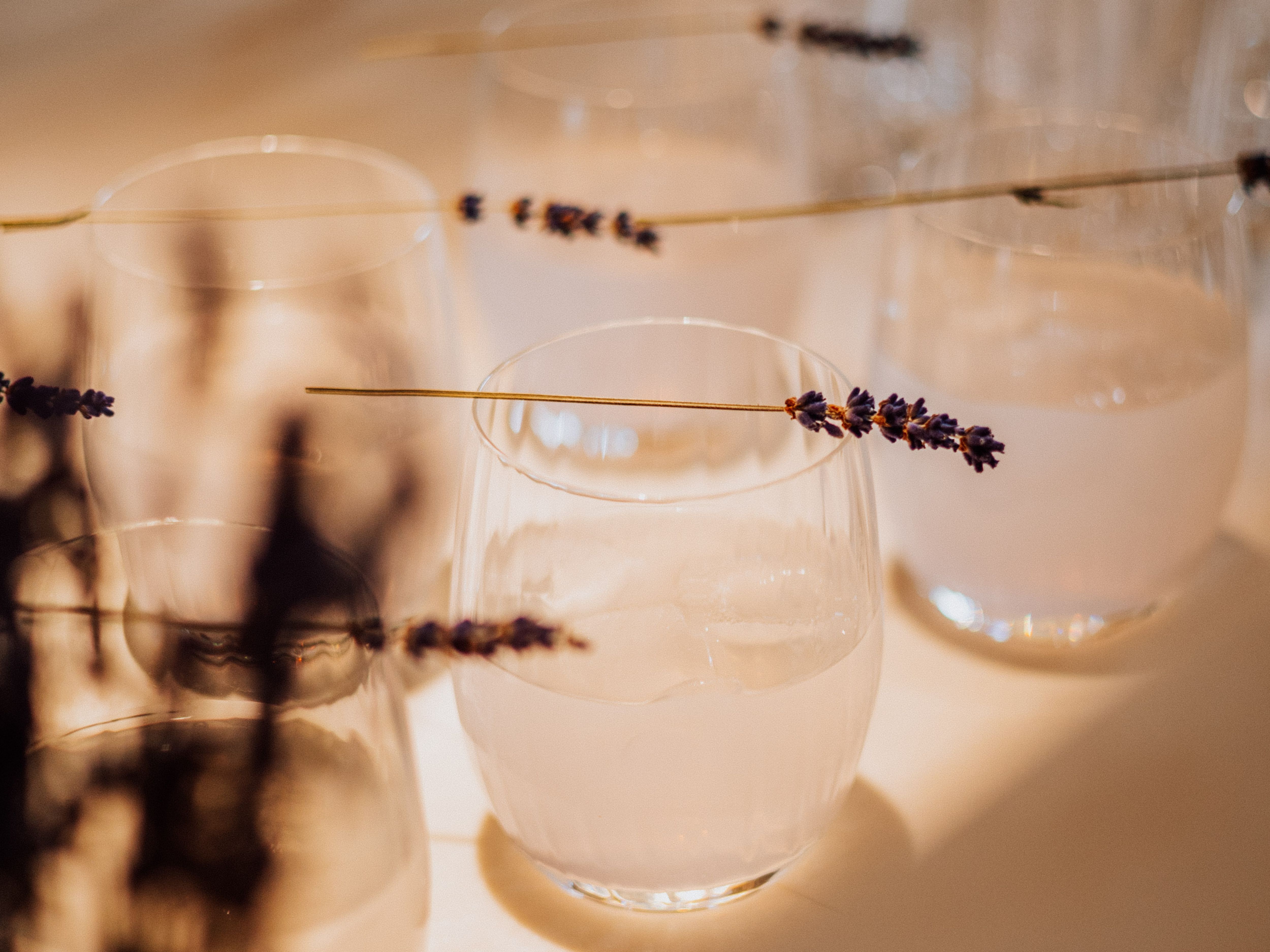 Drinks & Bites