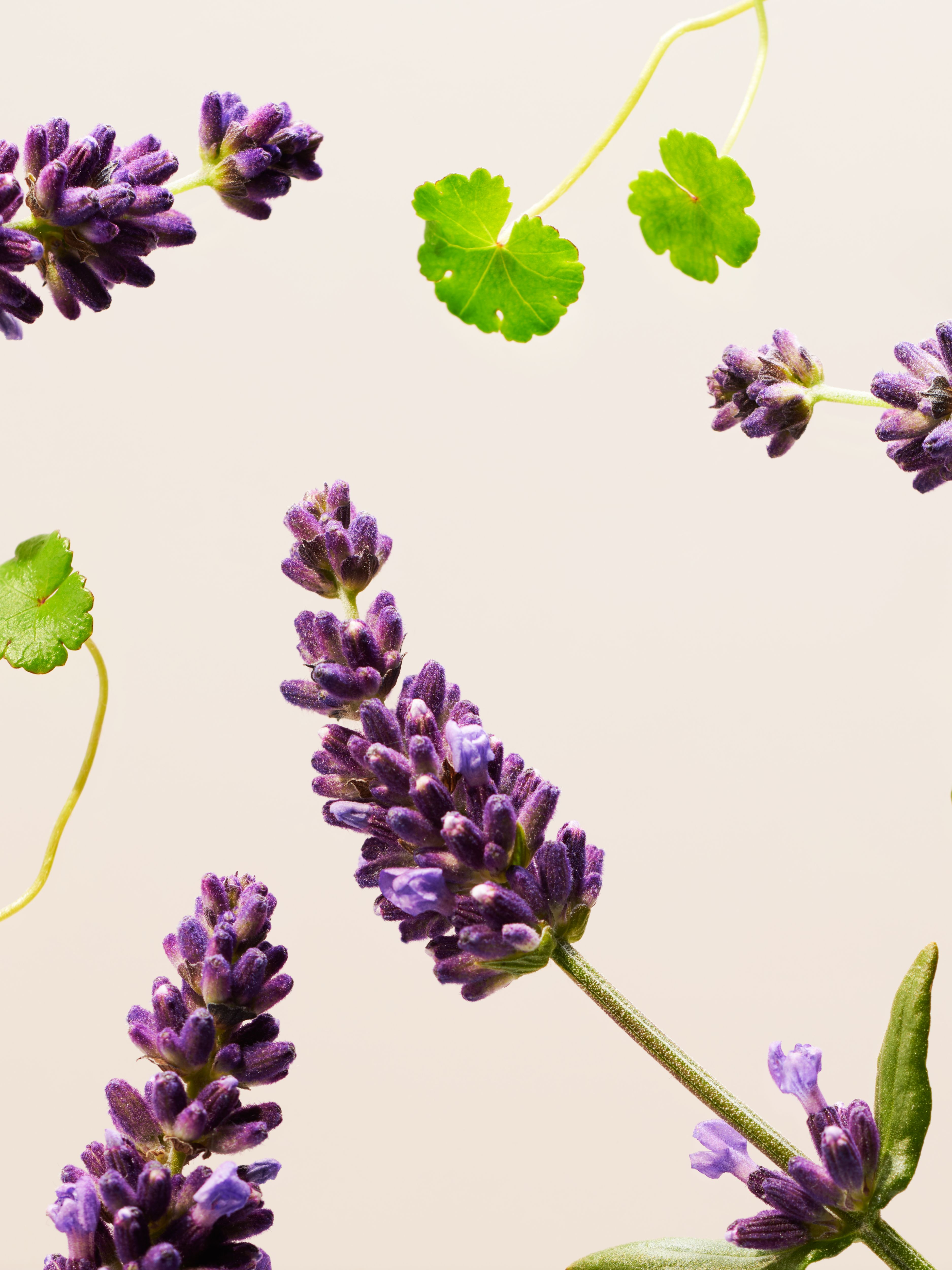 The Ritual of Namaste Firming Night Balm Refill