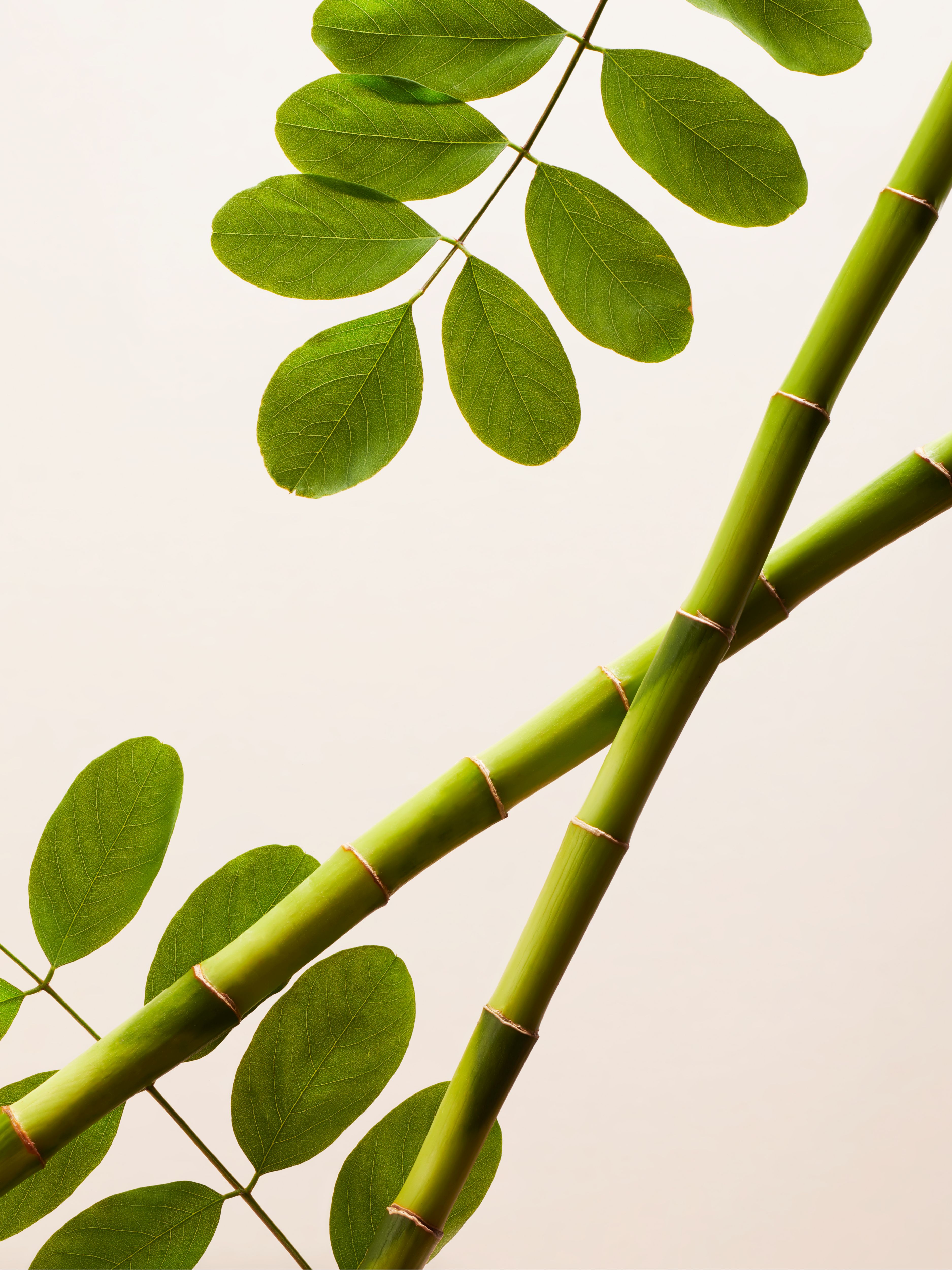 The Ritual of Namaste Face Exfoliator 