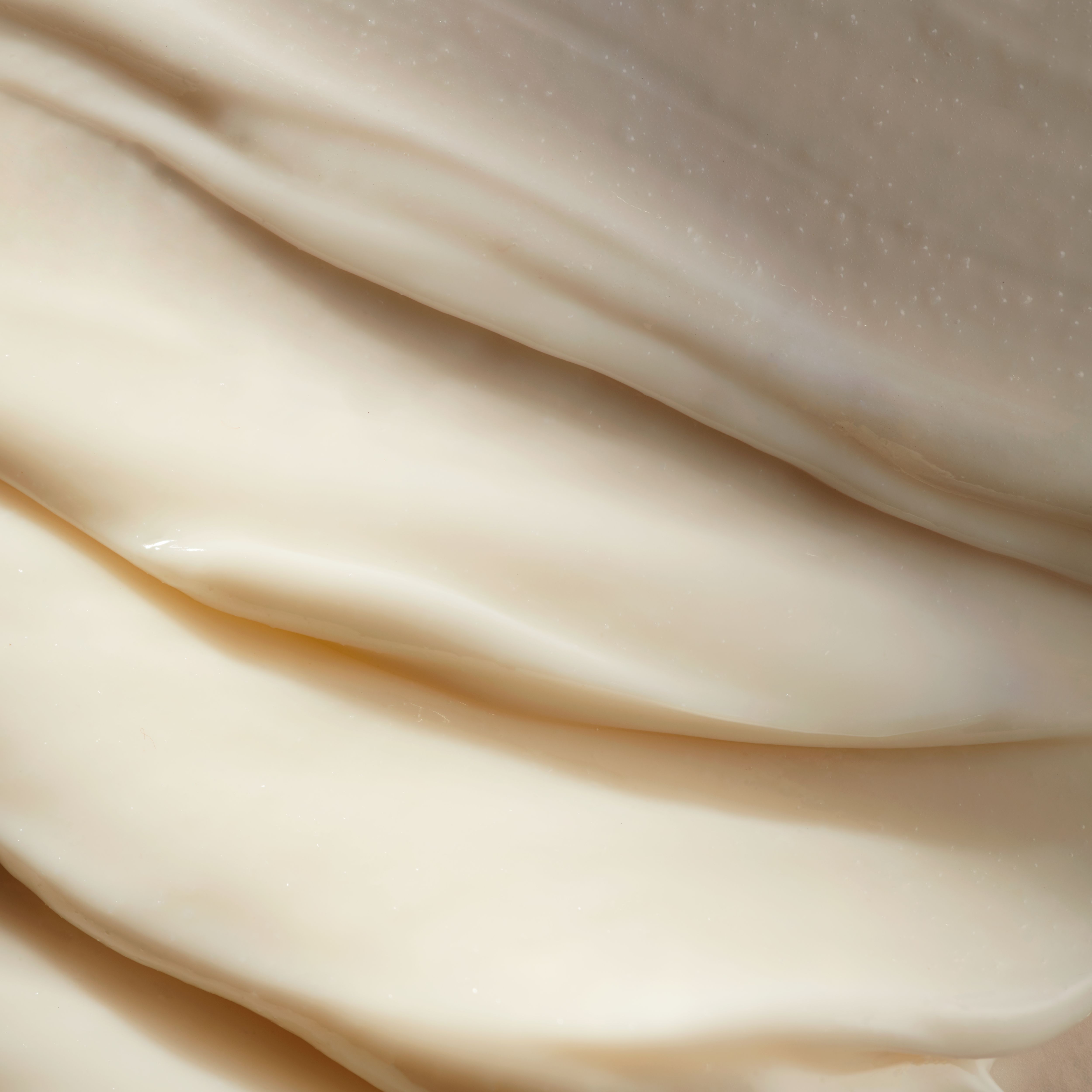 The Ritual of Namaste Face Exfoliator Texture Image