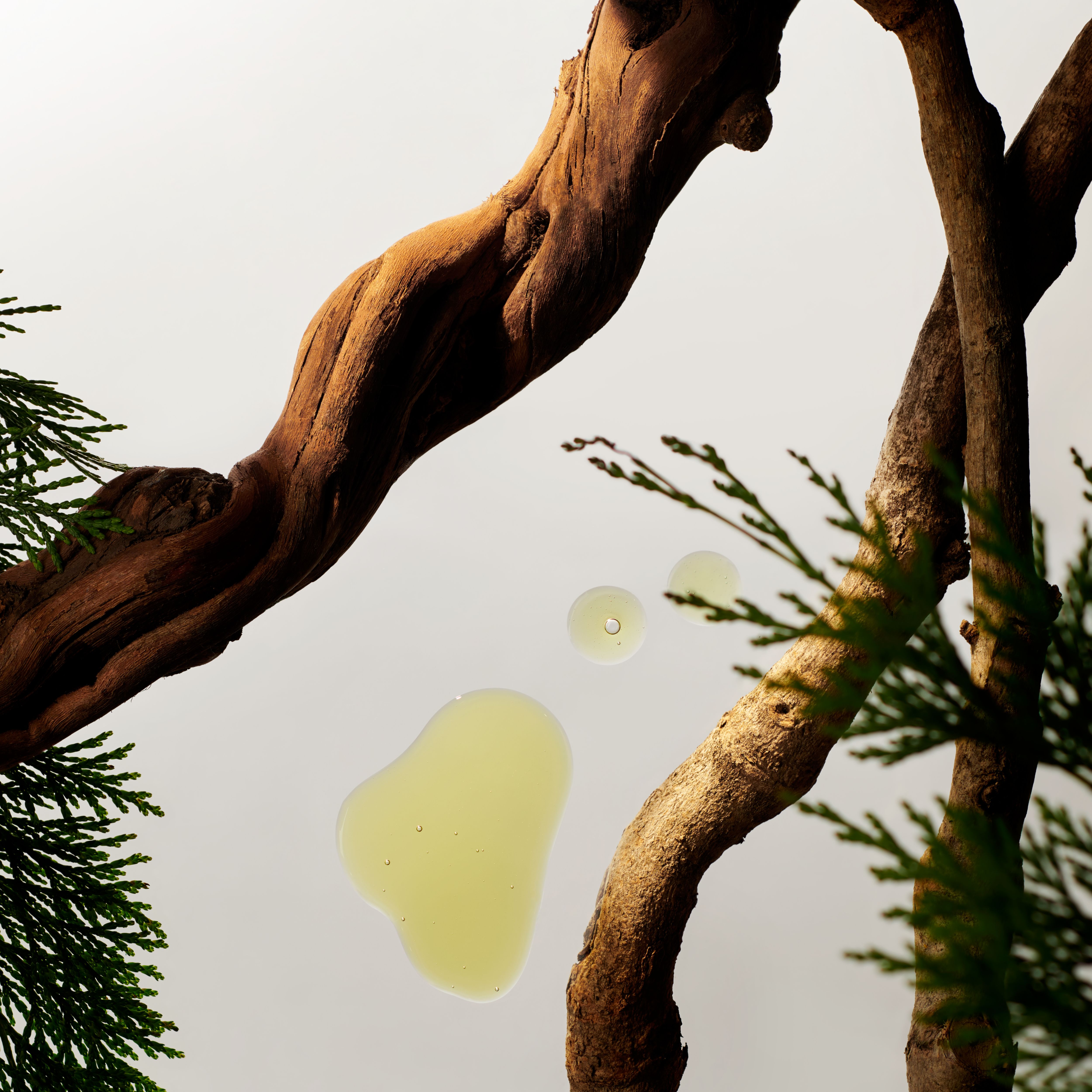 Body & Shower Essentials | Homme collection | RITUALS